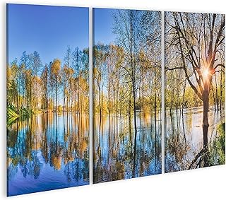 Quadro su Tela Riflessione Alberi del Fiume Alba del Fiume Foresta di Primavera Riflessione della Foresta di Primavera Composizione della Natura del Lago Stampe Stampa Murale Artistica