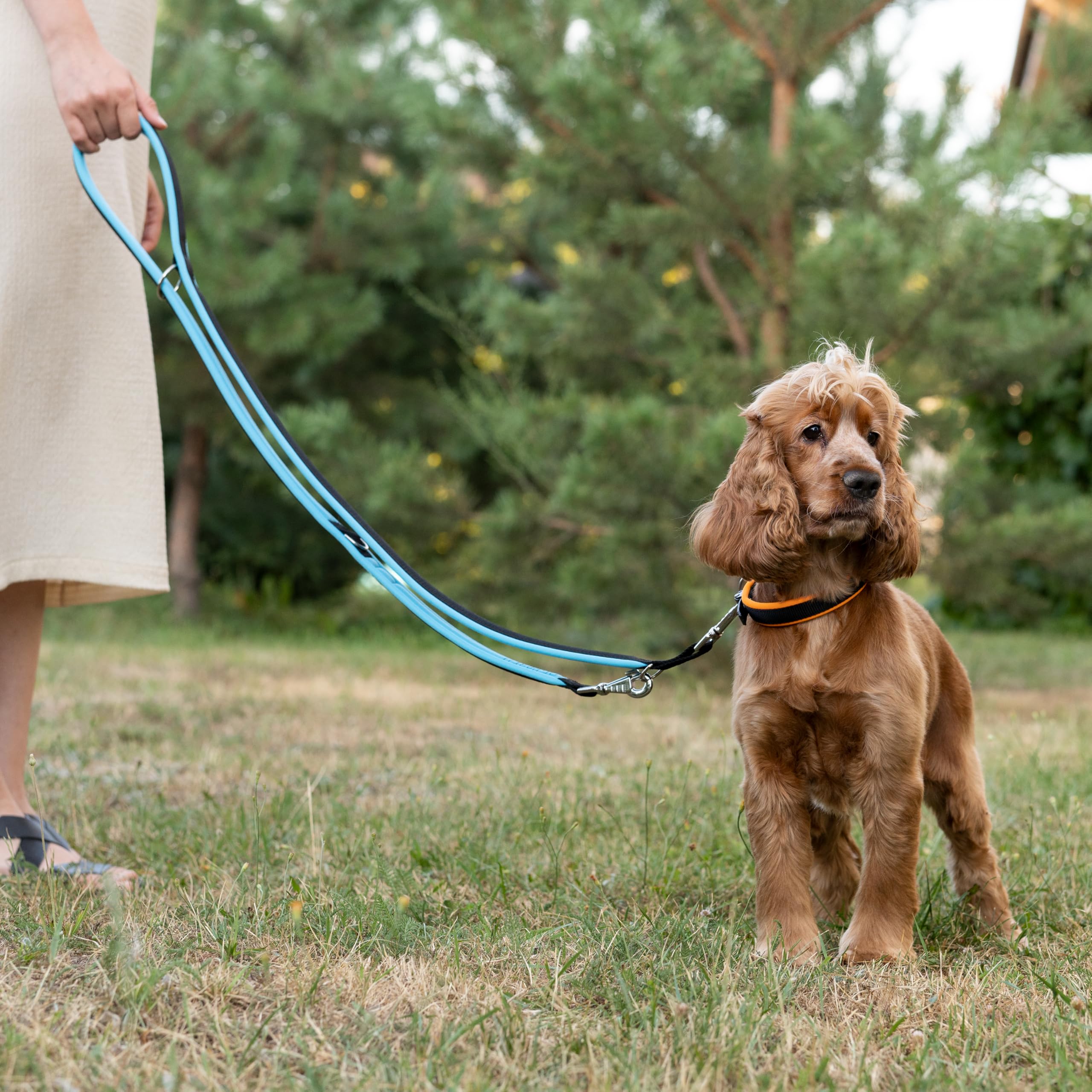 Ferplast ERGOFLUO GA Training Dog Lead, 3 Adjustable Lengths, Soft Padded Handle, Anti-Abrasion, Italian Design, 200 x 2 cm - Image 2