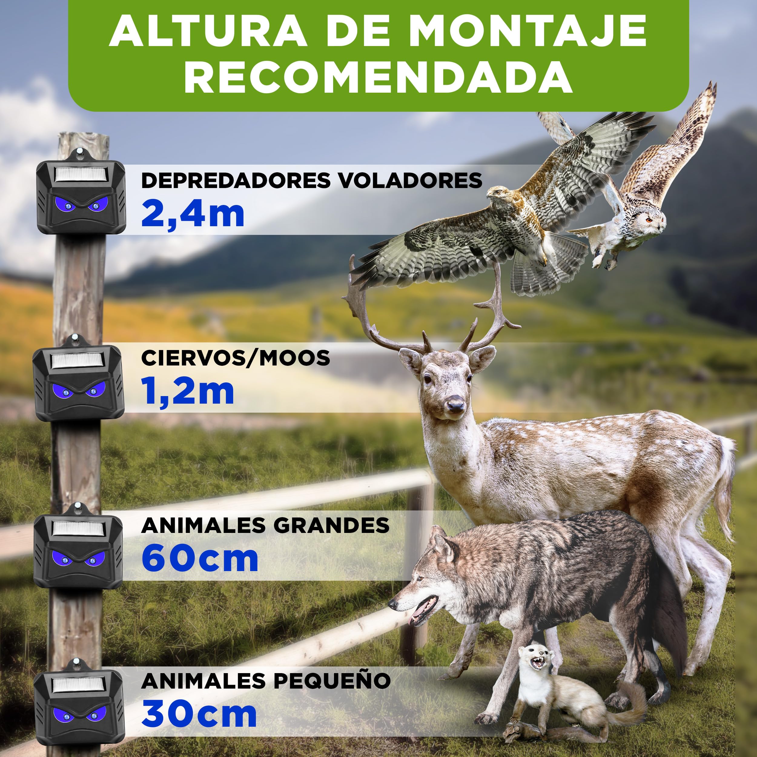 ISOTRONIC Repelente Solar para mapaches, Ciervos, Zorros y jabalíes: Repelente de Fauna Silvestre con luz LED Azul. Disuasivo eficaz con un Alcance Efectivo de 40 m² (4 Unidades).
