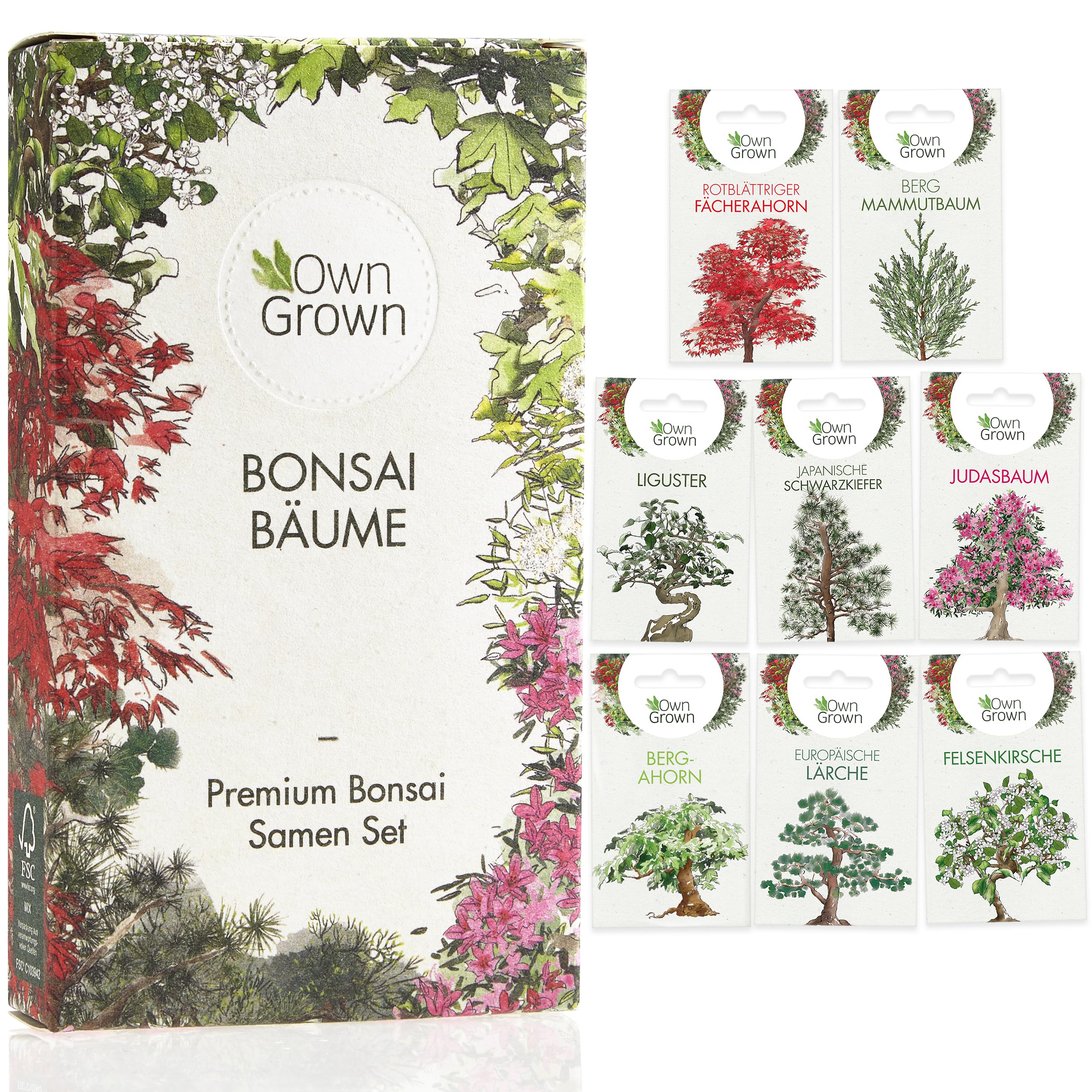 OwnGrown Bonsai Samen Set mit 8 Sorten Bonsai Saatgut