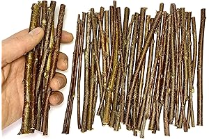 LongHouse Project Kit: 6-Inch Birch Wood Craft Sticks