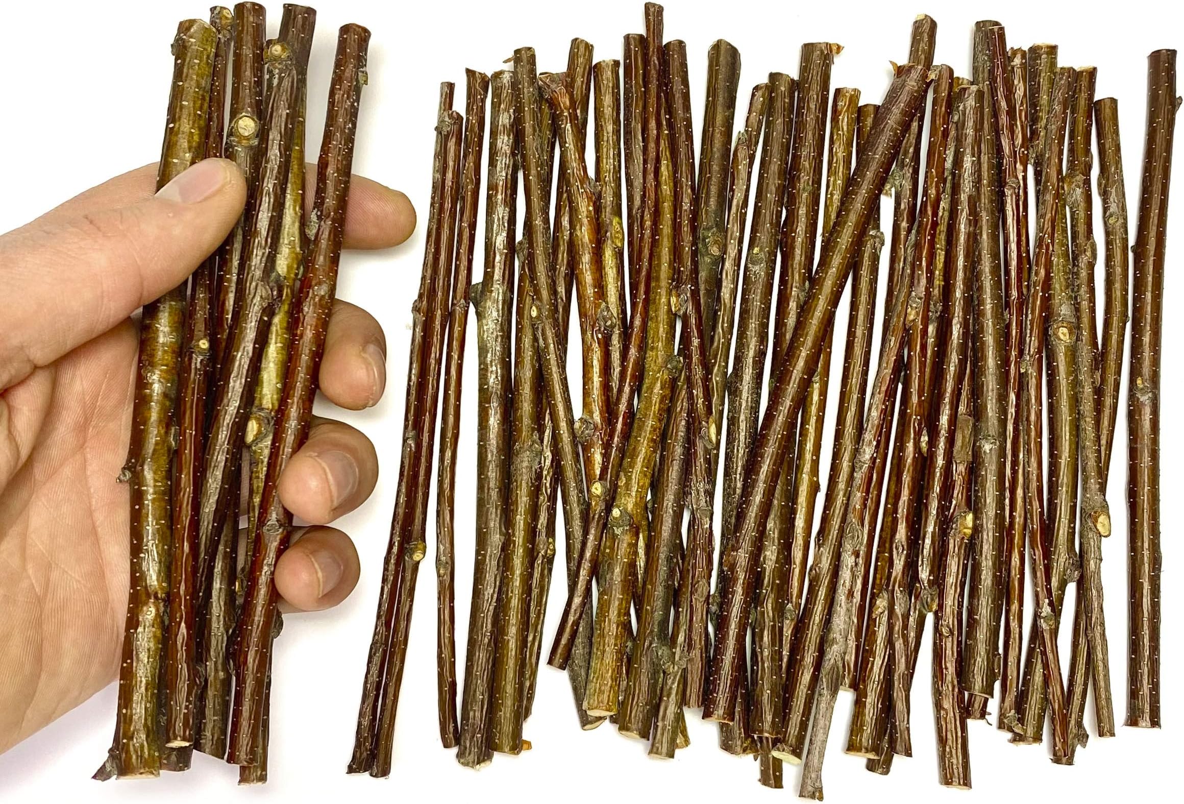ECOVENIK - 120 Gram - Wood Sticks for Crafts - 6 Inch Birch Wood Craft Sticks - Natural Twigs Sticks for Crafting, DIY School Projects, Card Making, Embellishments & Photo Props