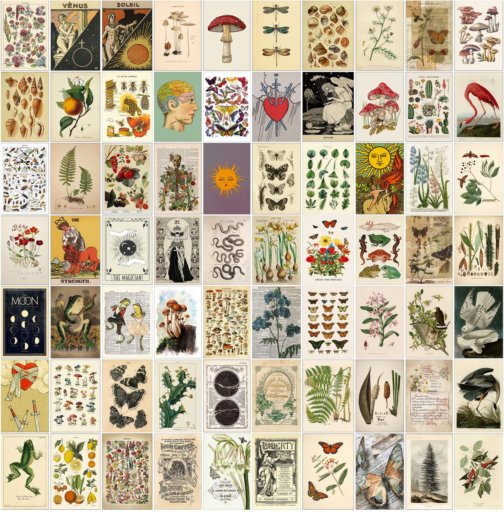 Buy Wall Collage Kit Aesthetic Pictures 4x6",Room Photo Decor Aesthetic