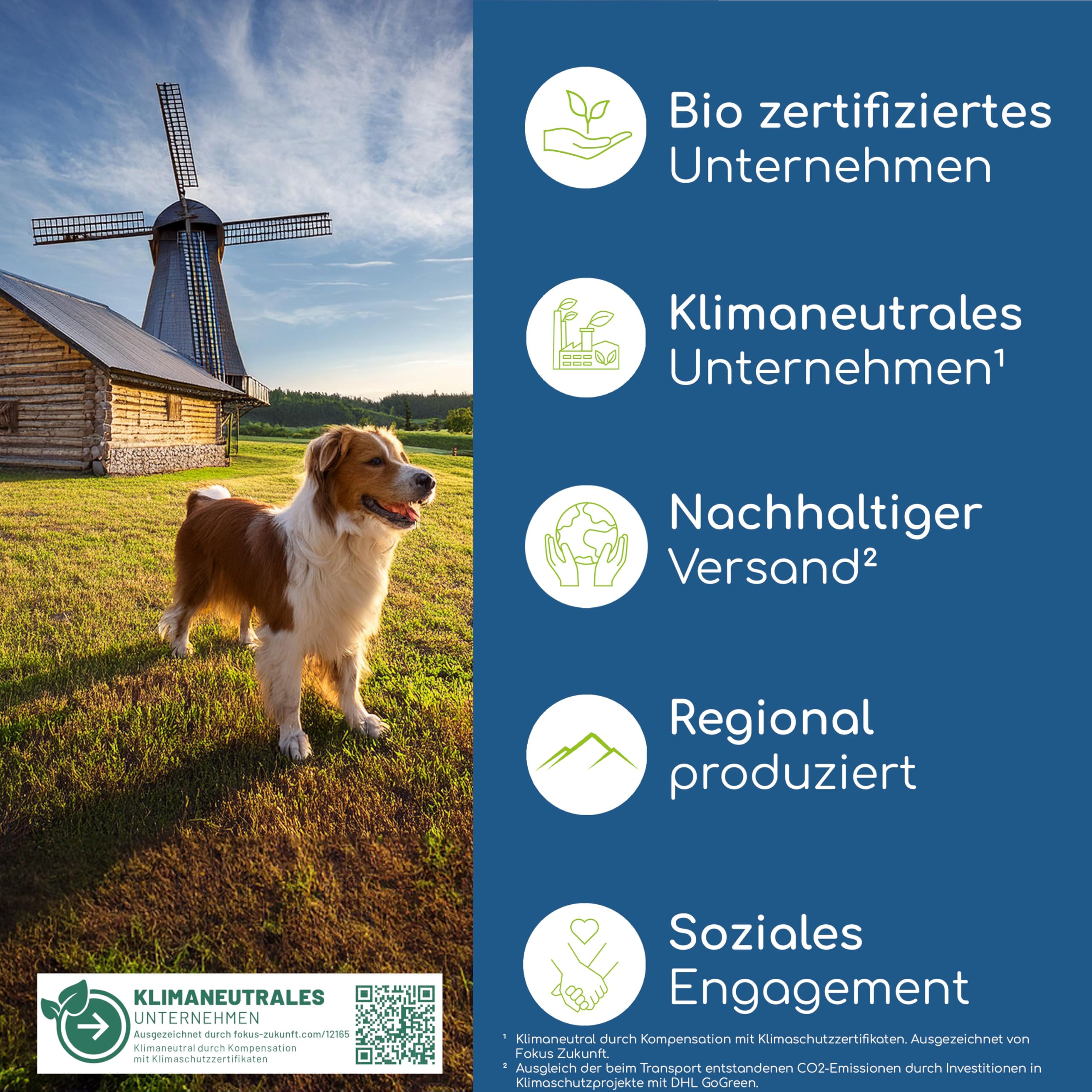 Z-Schild Snack für Hunde - Funktionssnacks für aktive Hunde | Z-Schild Leckerli 4 x | Mit Schwarzkümmelöl und Kokosöl für Schutz und Sicherheit