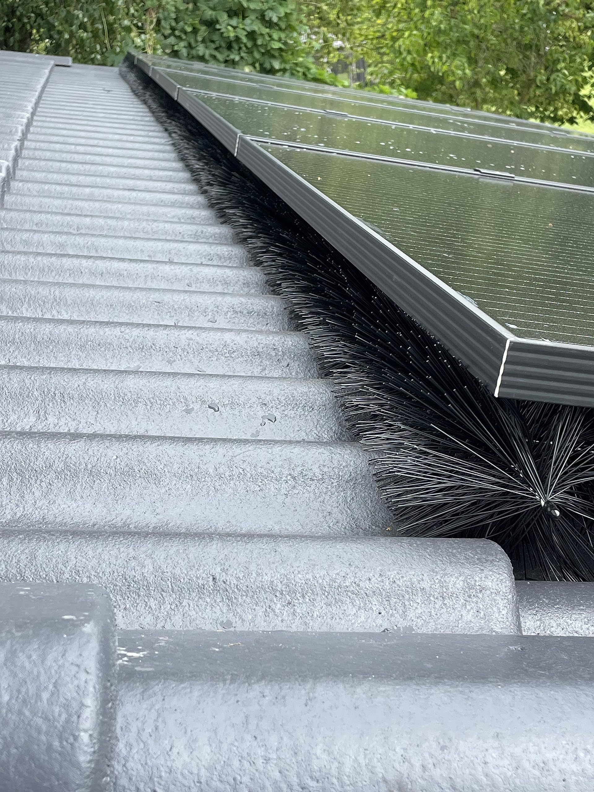 Spazzola per Grondaia 42m Ø 12 cm| Protezione Foglie e Rami | Difesa Animali e Uccelli | Installazione Facile | Adatta per Grondaie Semicircolari, Nero, Ciniglia