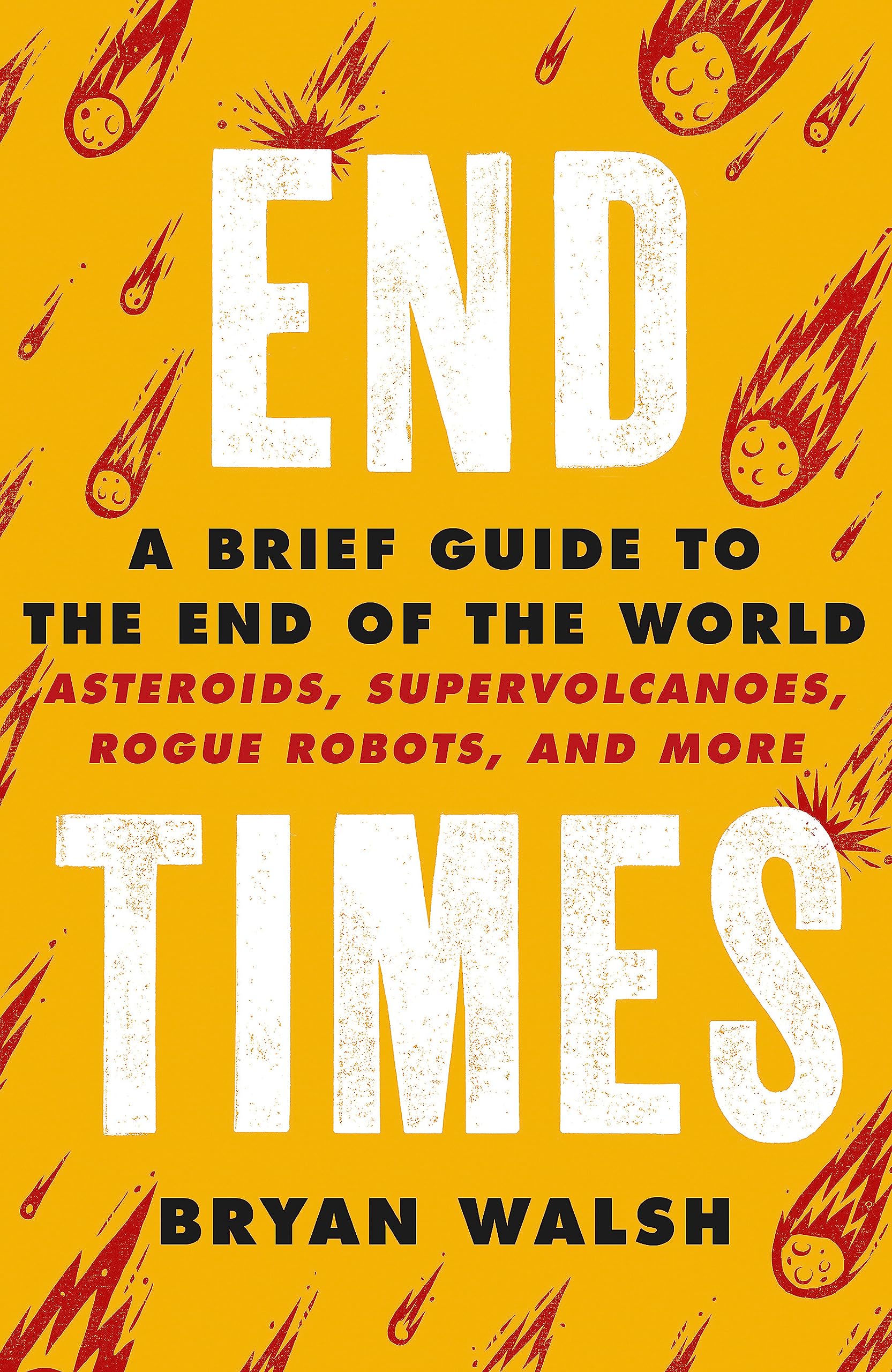End Times by Bryan Walsh (Paperback Book)