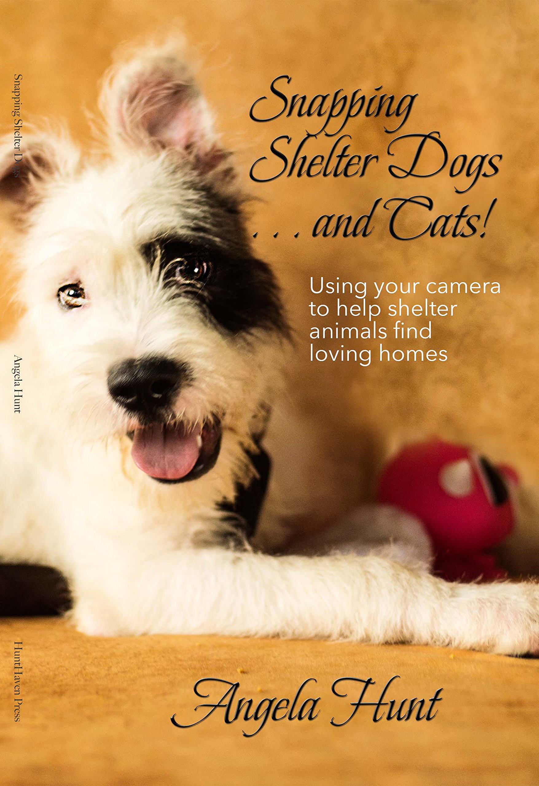Snapping Shelter Dogs . . . and Cats!: Using your camera to help shelter animals find loving homes
