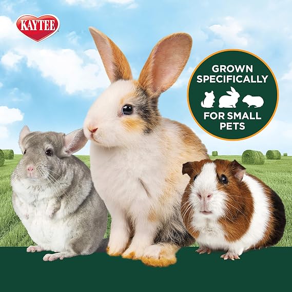 Kaytee Timothy Hay, High Fiber, Grown Specifically for Small Animals, Rabbits, Guinea Pigs, Chinchillas, 24 Ounces
