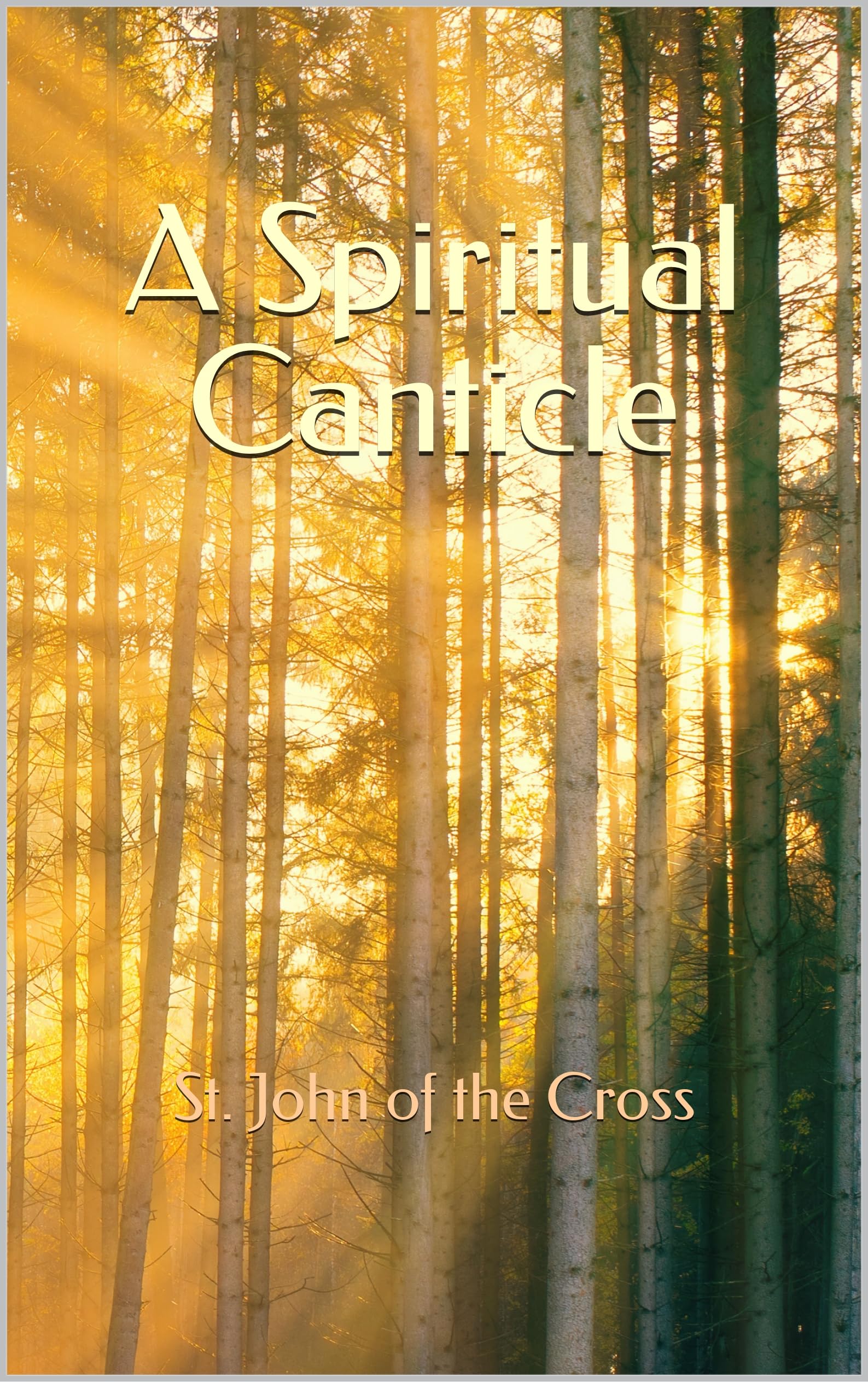 Amazon.co.jp: St John of The Cross: 本、バイオグラフィー、最新