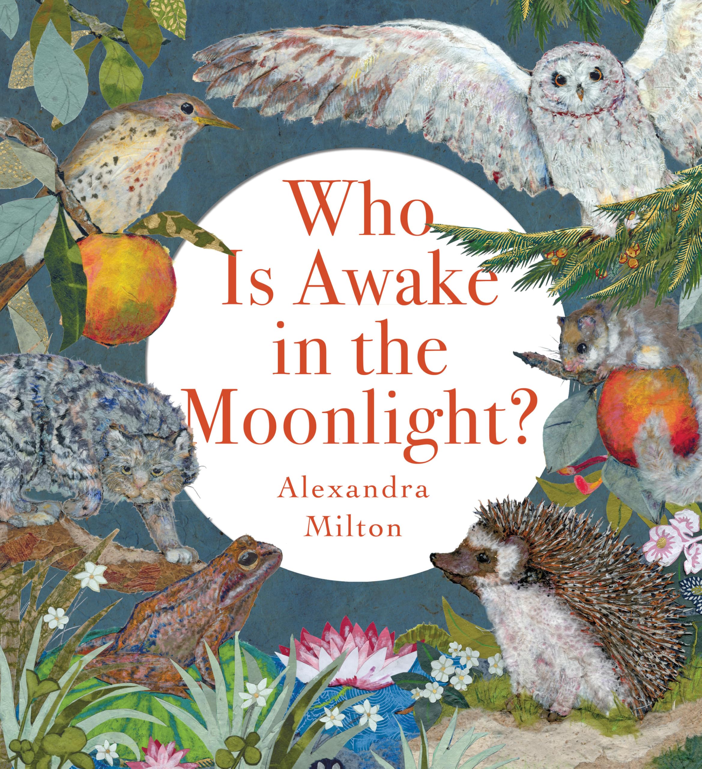 Who Is Awake in the Moonlight?