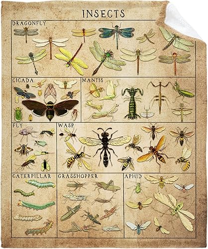 Manta de franela de vellón vintage con insectos, súper suave y acogedora para sofá, silla, cama, sofá, viaje, tamaño de niños, 40 x 50 pulgadas, S