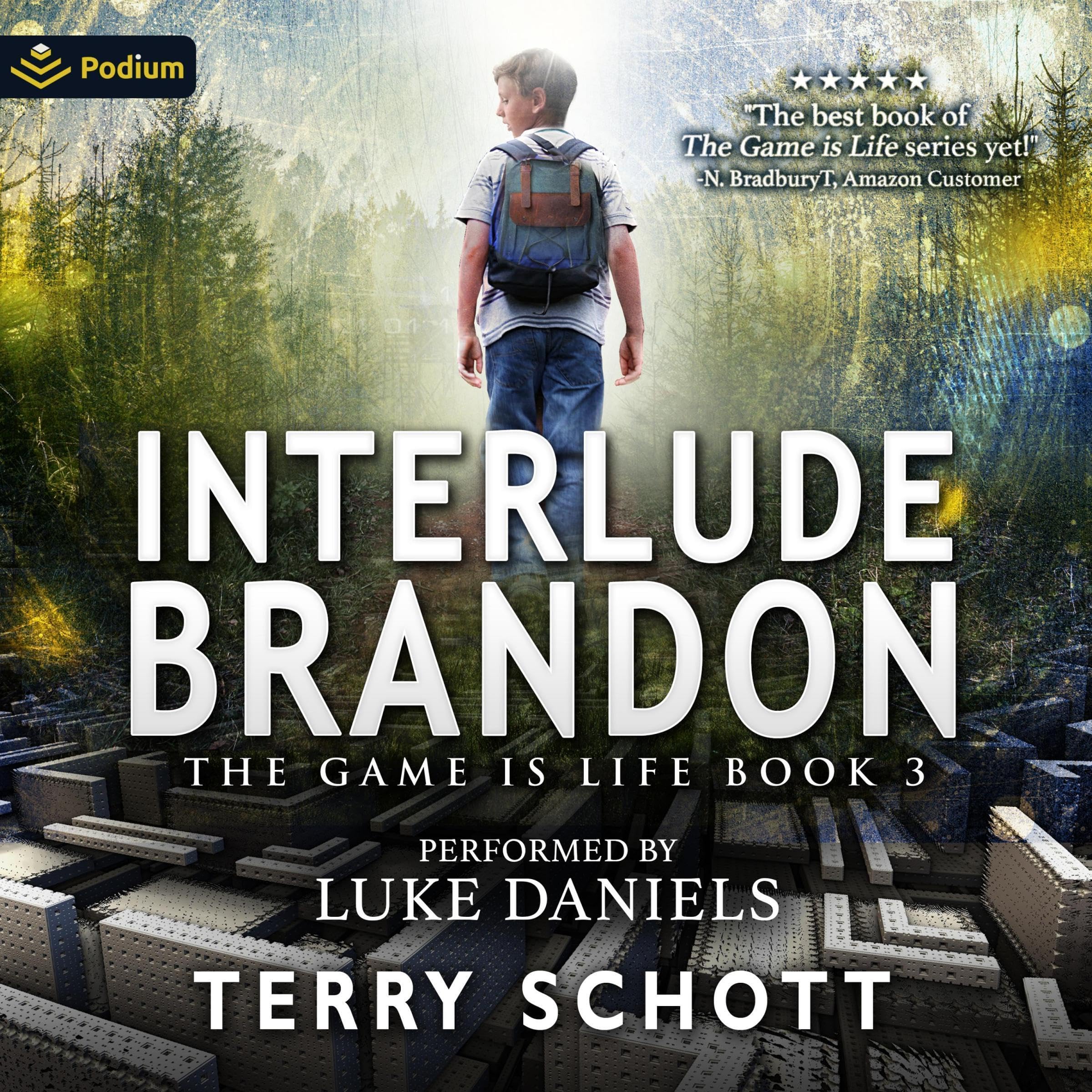 Cover art for Interlude: Brandon
