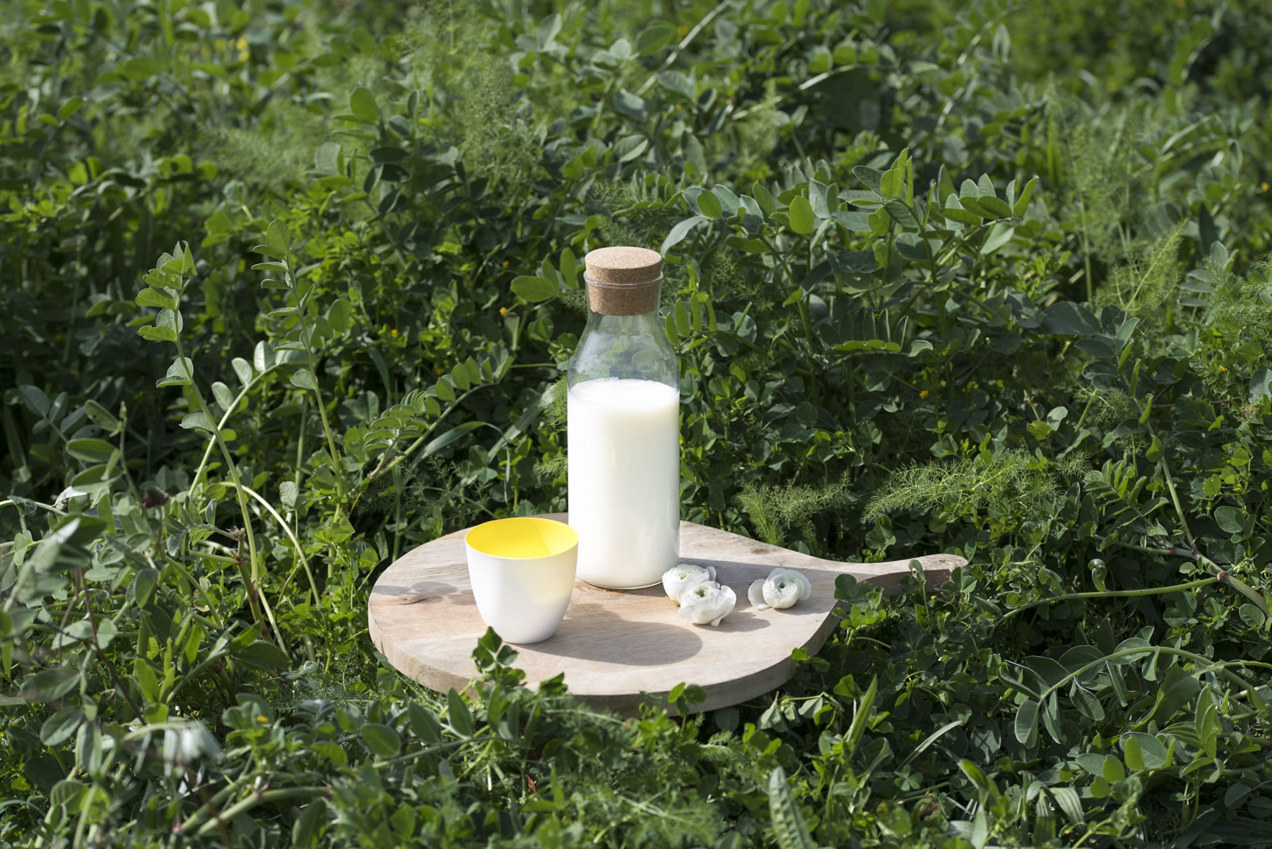 PACK DE 6 KEFIR NATURAL DE LECHE DE VACA DE MENORCA - 100% Natural - Alimento probiótico - 6 Botella de 1 L. (Natural)