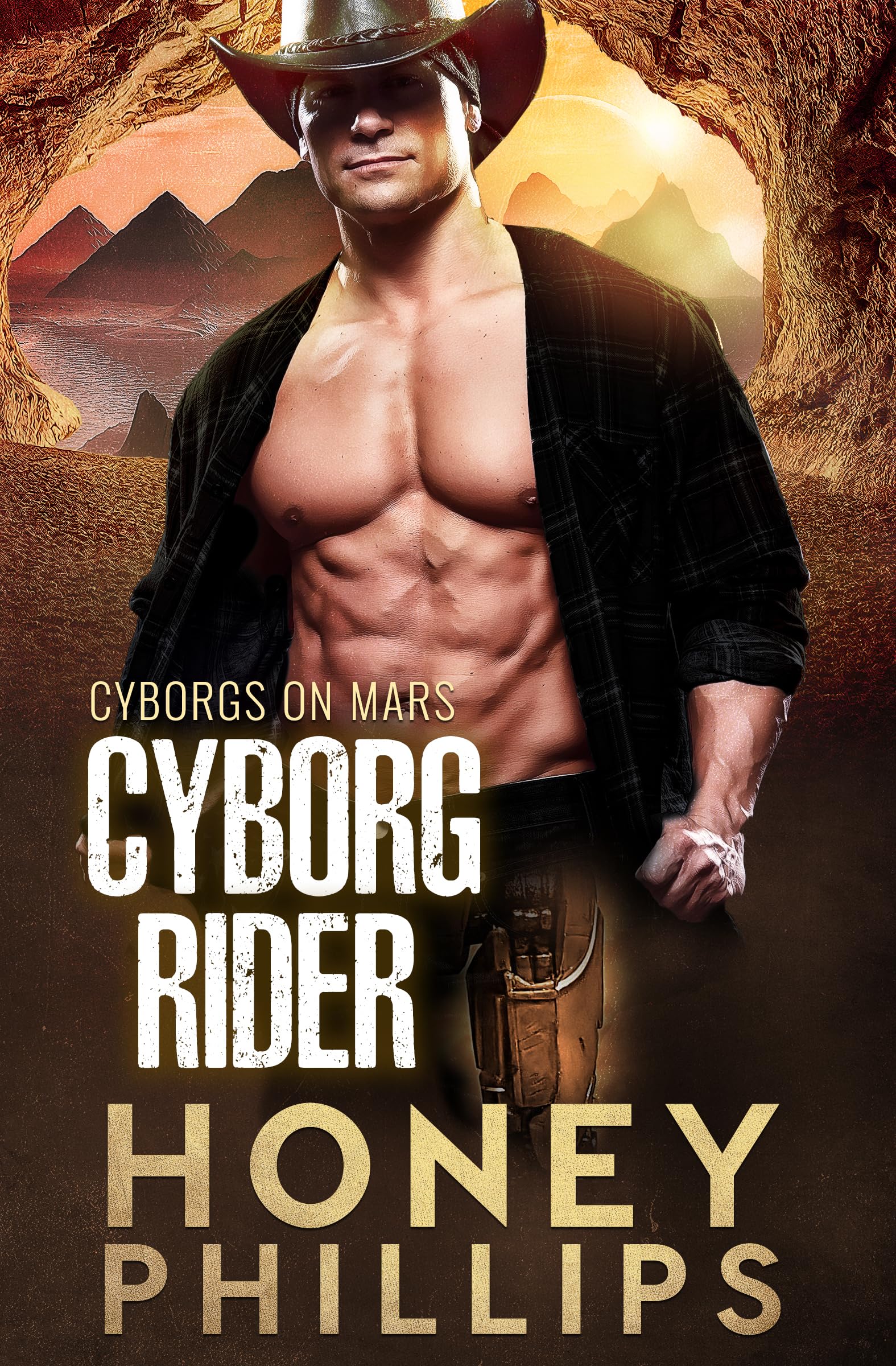 Book cover for Cyborg Rider