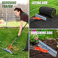 Vista 6 de Walensee Rastrillo Dethatcher, Rastrillo Dethatcher para Césped de 15 pulgadas, Rastrillo Dethatcher Robusto, Rastrillo de Metal de Acero Eficiente
