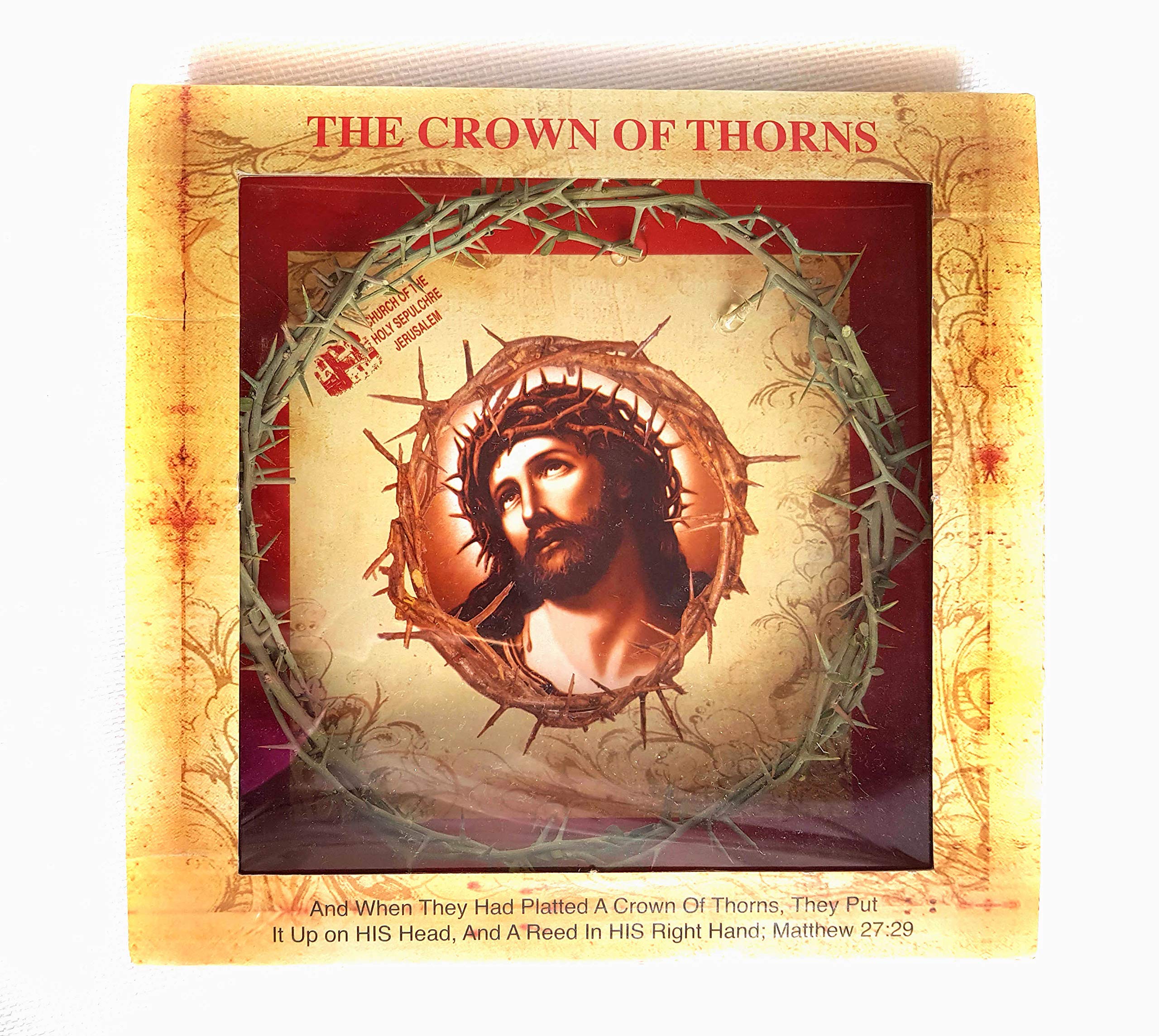 Crown of Thorns Bethlehem Jerusalem HOLY Land aprox 7.5" Diameter
