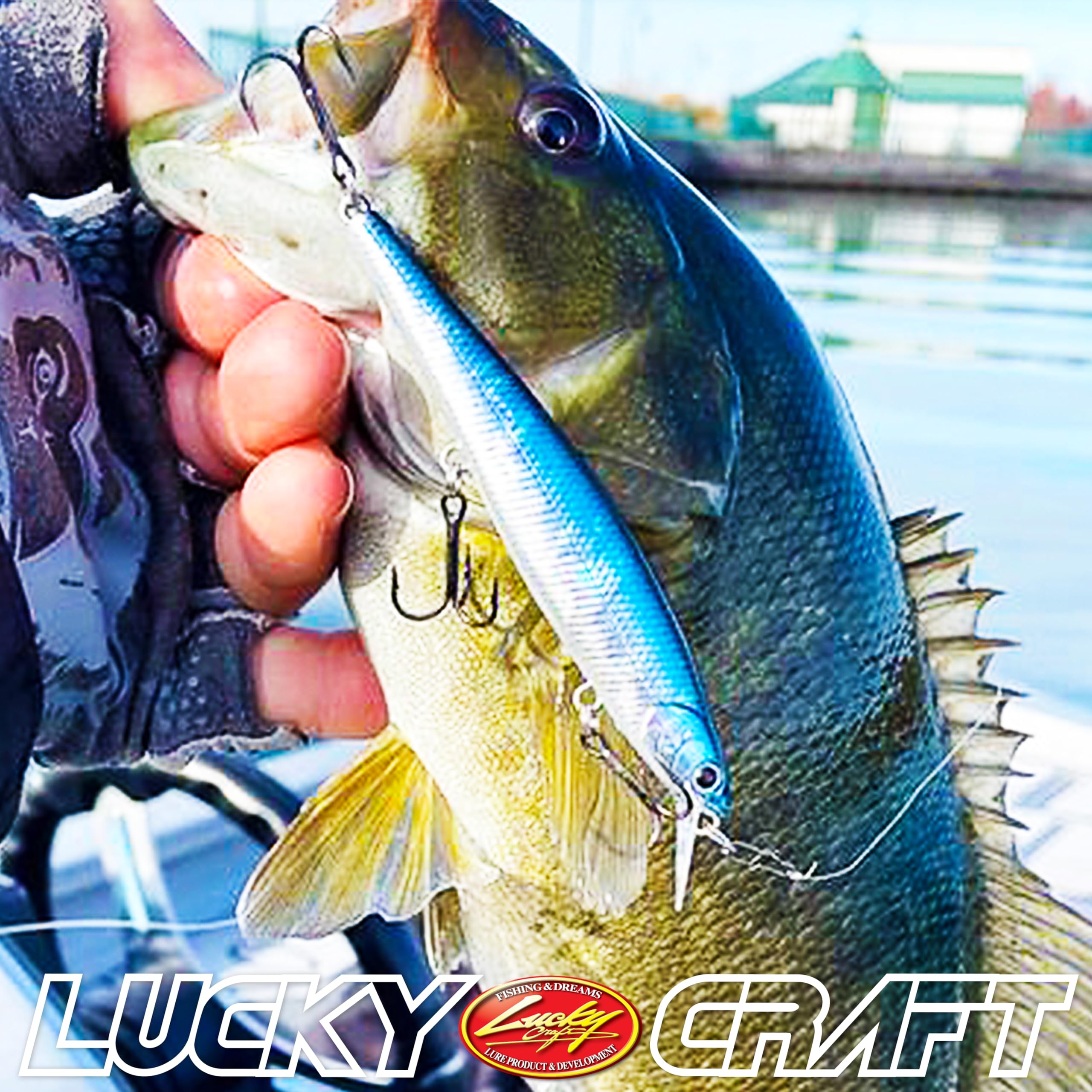 Amazon | ラッキークラフトUSA(LUCKY CRAFT)スレンダーポインター97MR