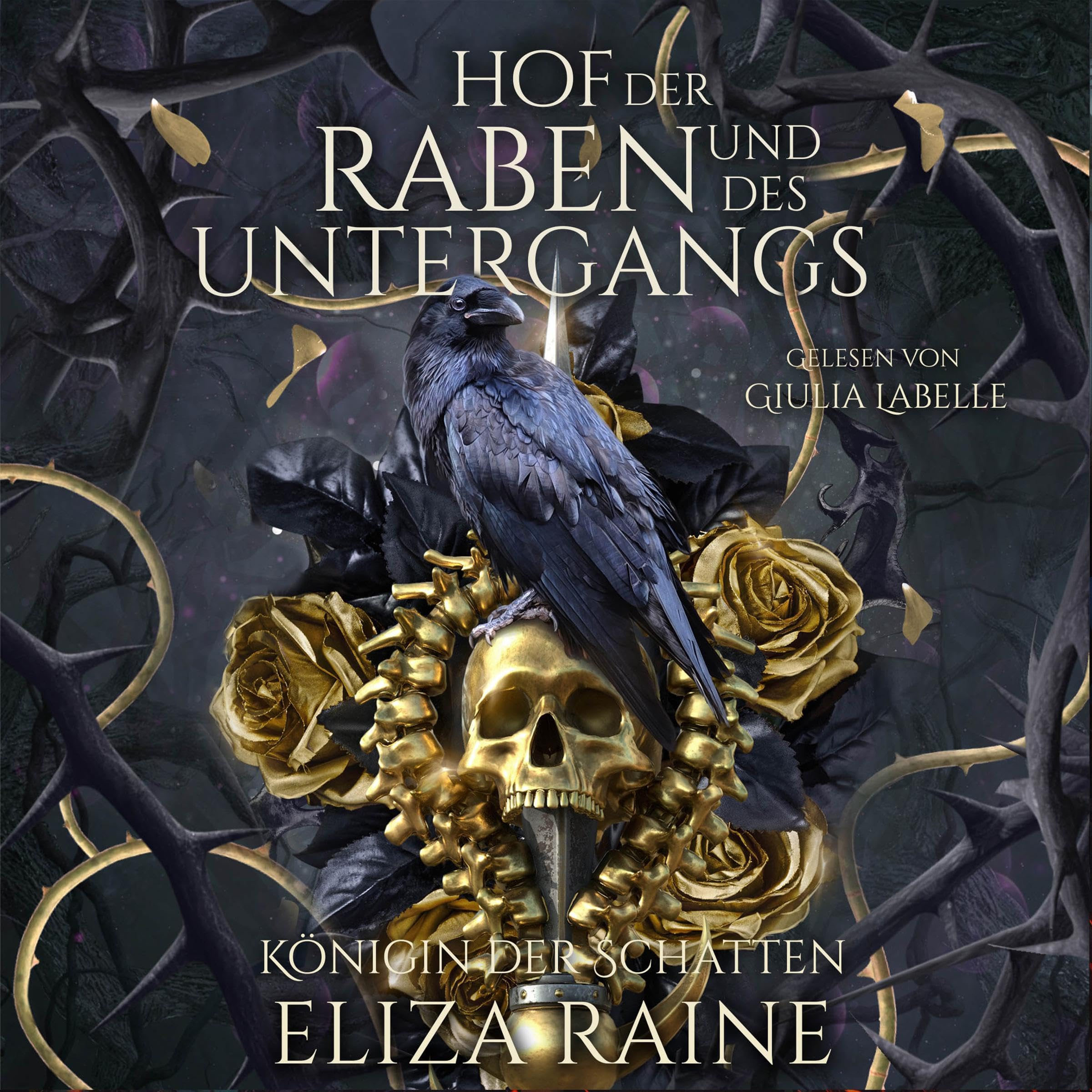 Cover art for Hof der Raben und des Untergangs