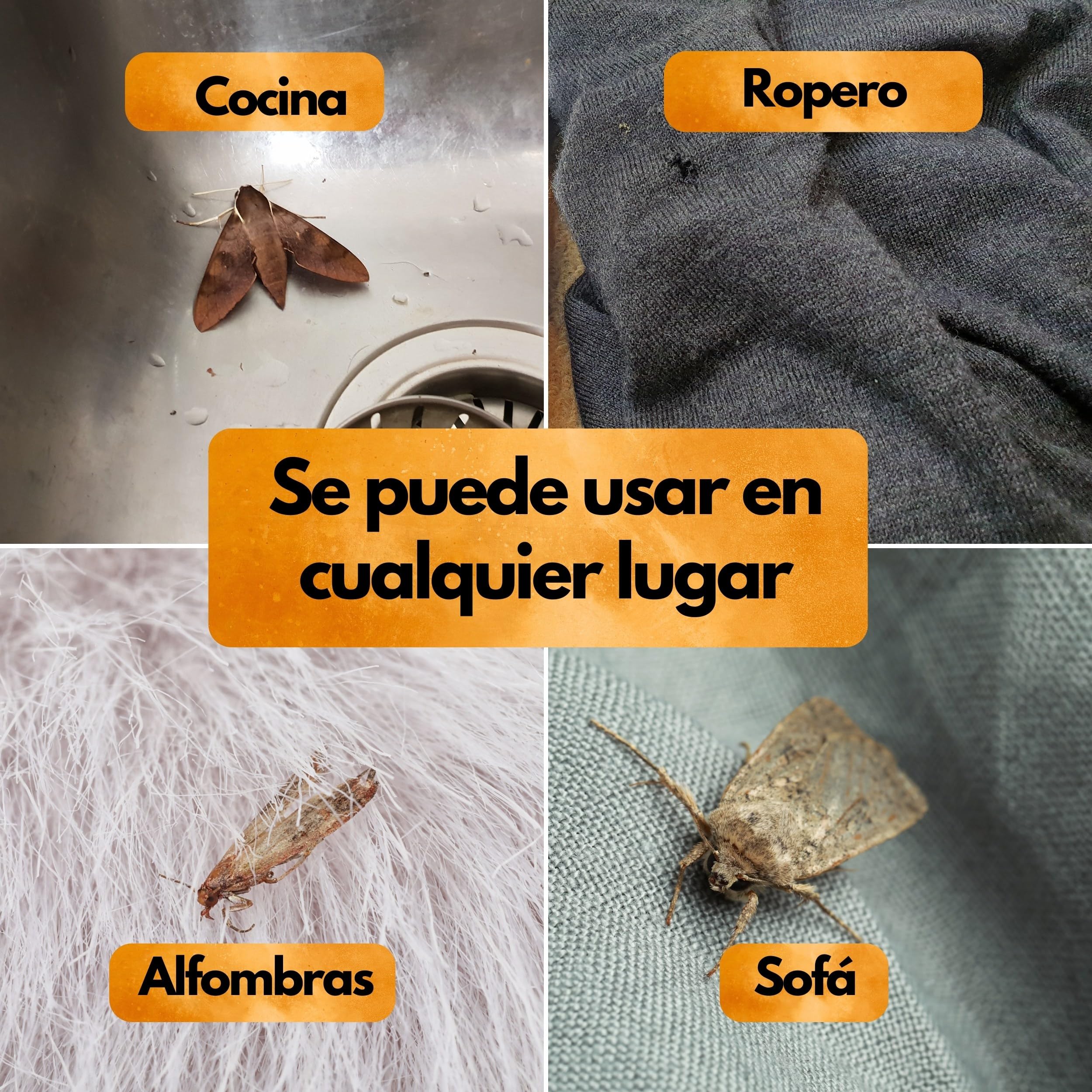 Panteer ® Spray antipolillas 500ml - protección antipolillas contra polillas de los Alimentos y polillas de la Ropa - Lucha contra Las polillas sin permetrina - Fabricado en Alemania