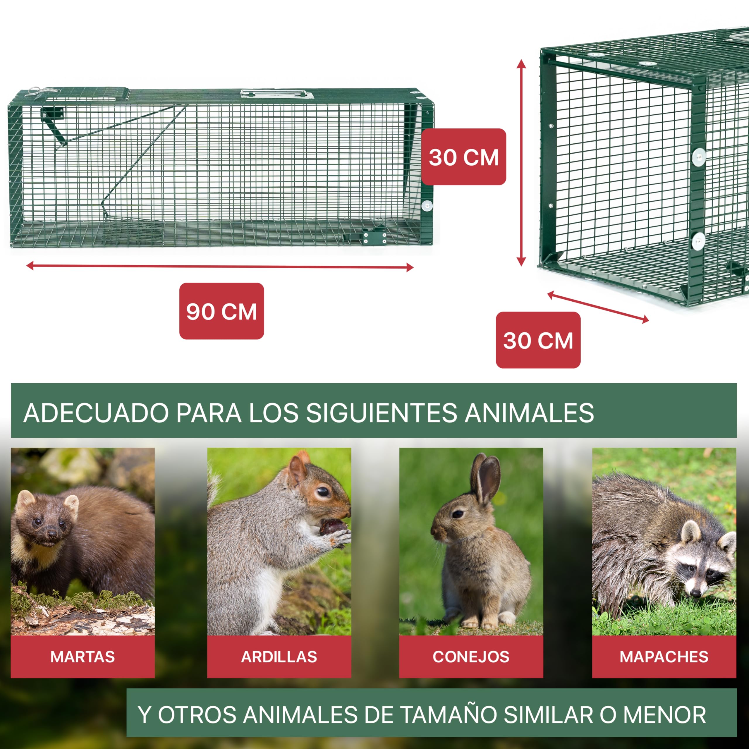 ITA Trampa para Animales Vivos 5002-90x30x30 cm - por Martas Gatos Ratas - 1 Puerta, Resistente al Tiempo, Reutilizable, Montada - Made in EU