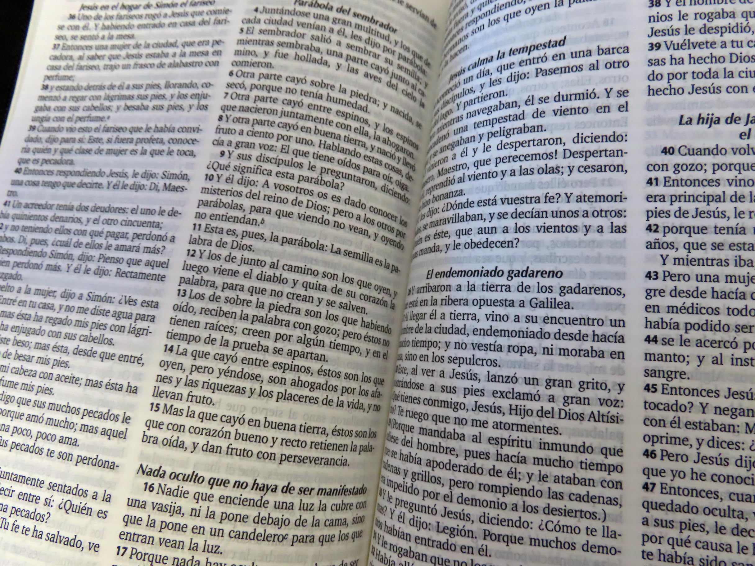 Genérico Reina Valera Biblia RV 1960 Piel Sintética con Cremallera | Letra Legible | Compacta y Fácil de Transportar