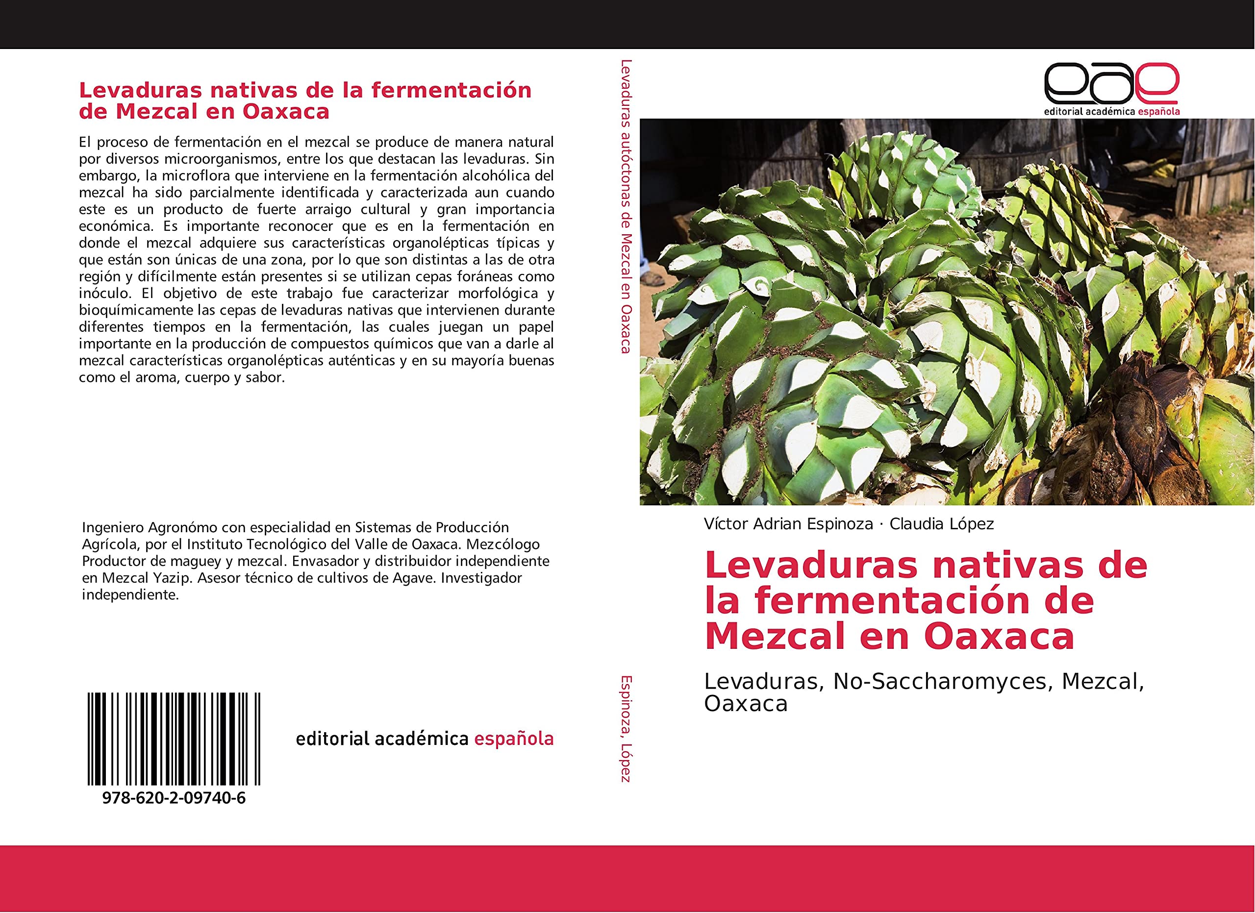 Levaduras nativas de la fermentación de Mezcal en Oaxaca: Levaduras, No-Saccharomyces, Mezcal, Oaxaca