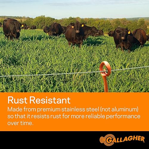 Miniatura 2 de Gallagher North America G620300 Cable de poliéster para vallaeléctrica blanco de 1320 pies 1 Blanco y gris