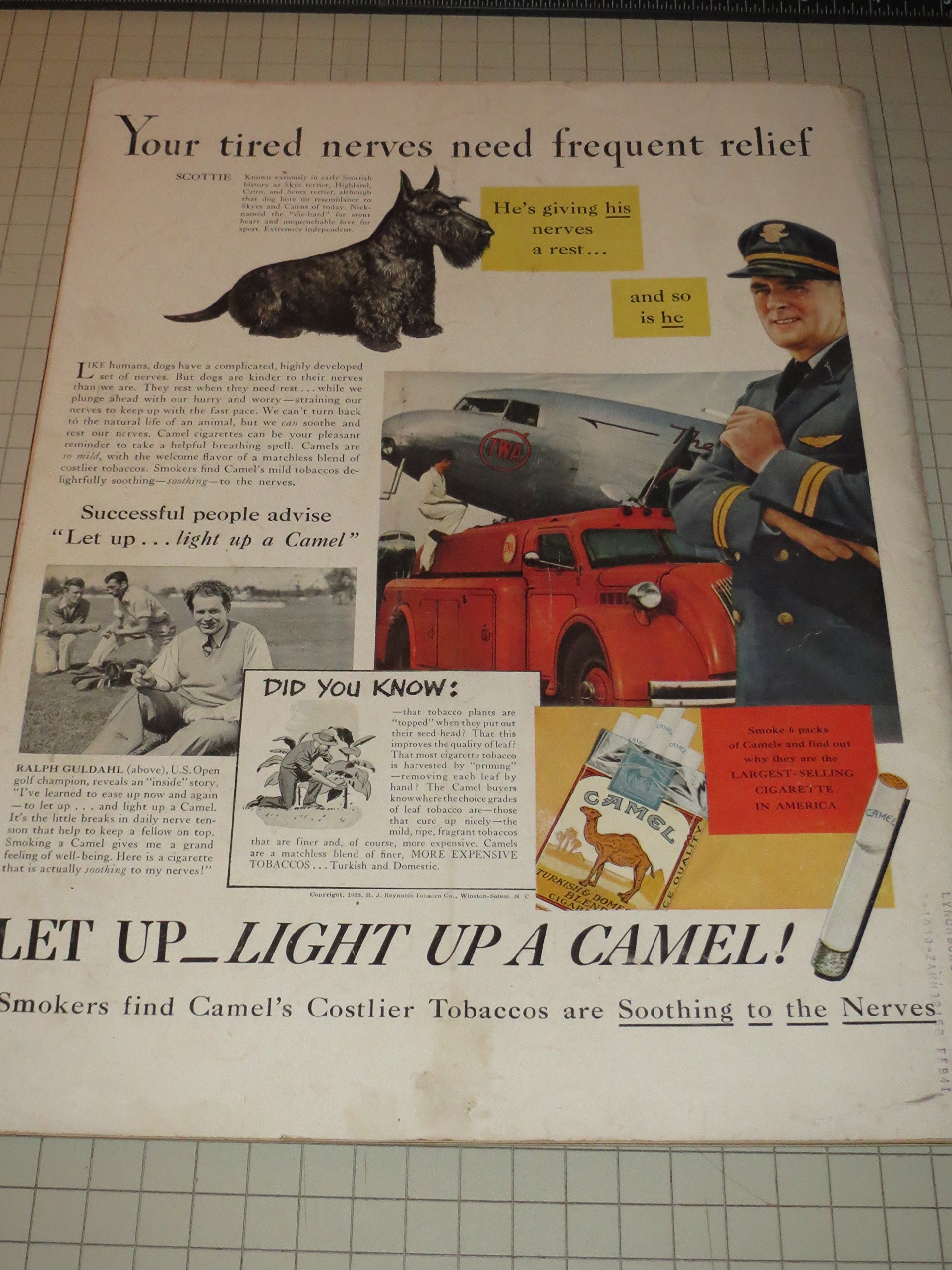 Young Abraham Lincoln Portrait 8x10 Photograph Photo Print