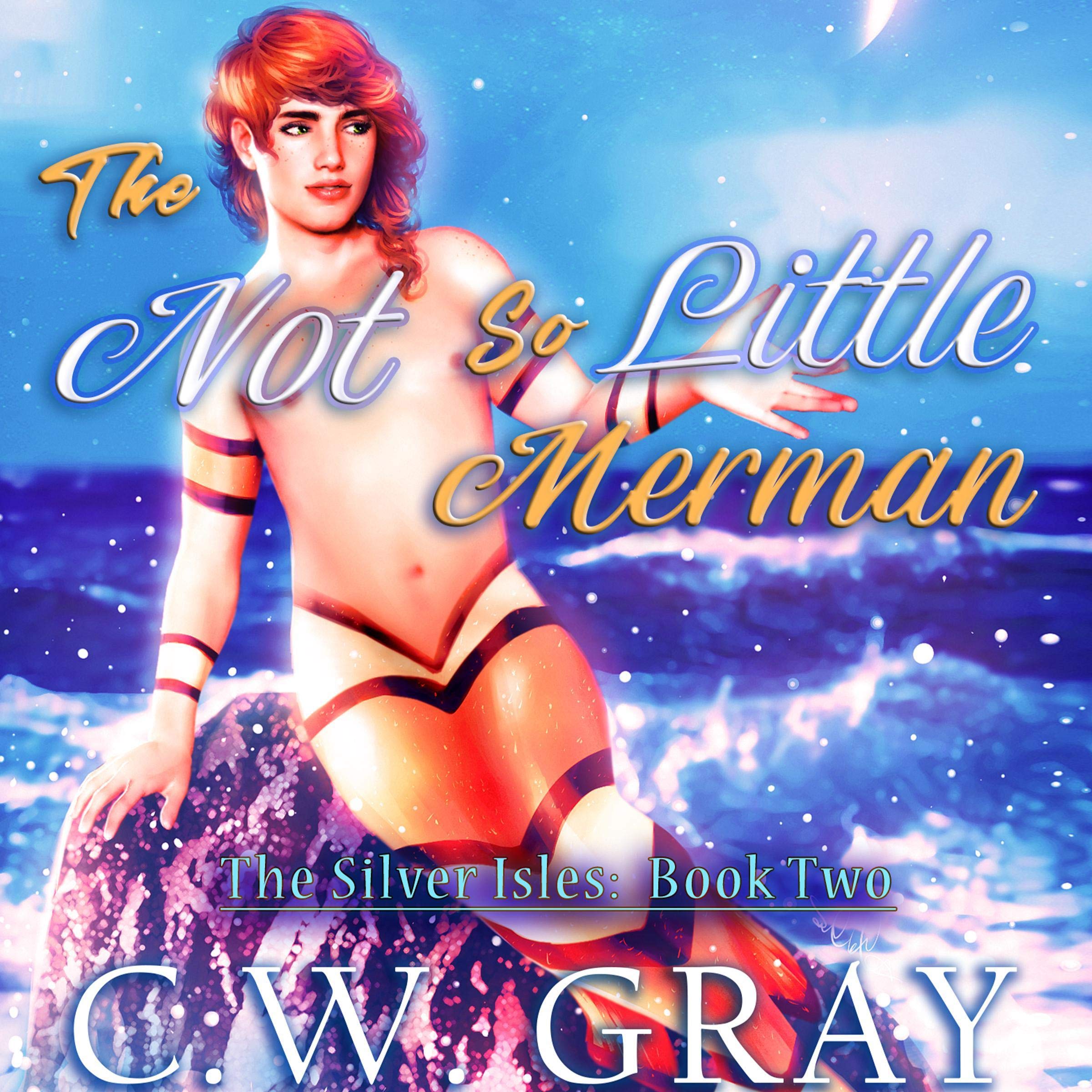 Cover art for The Not So Little Merman