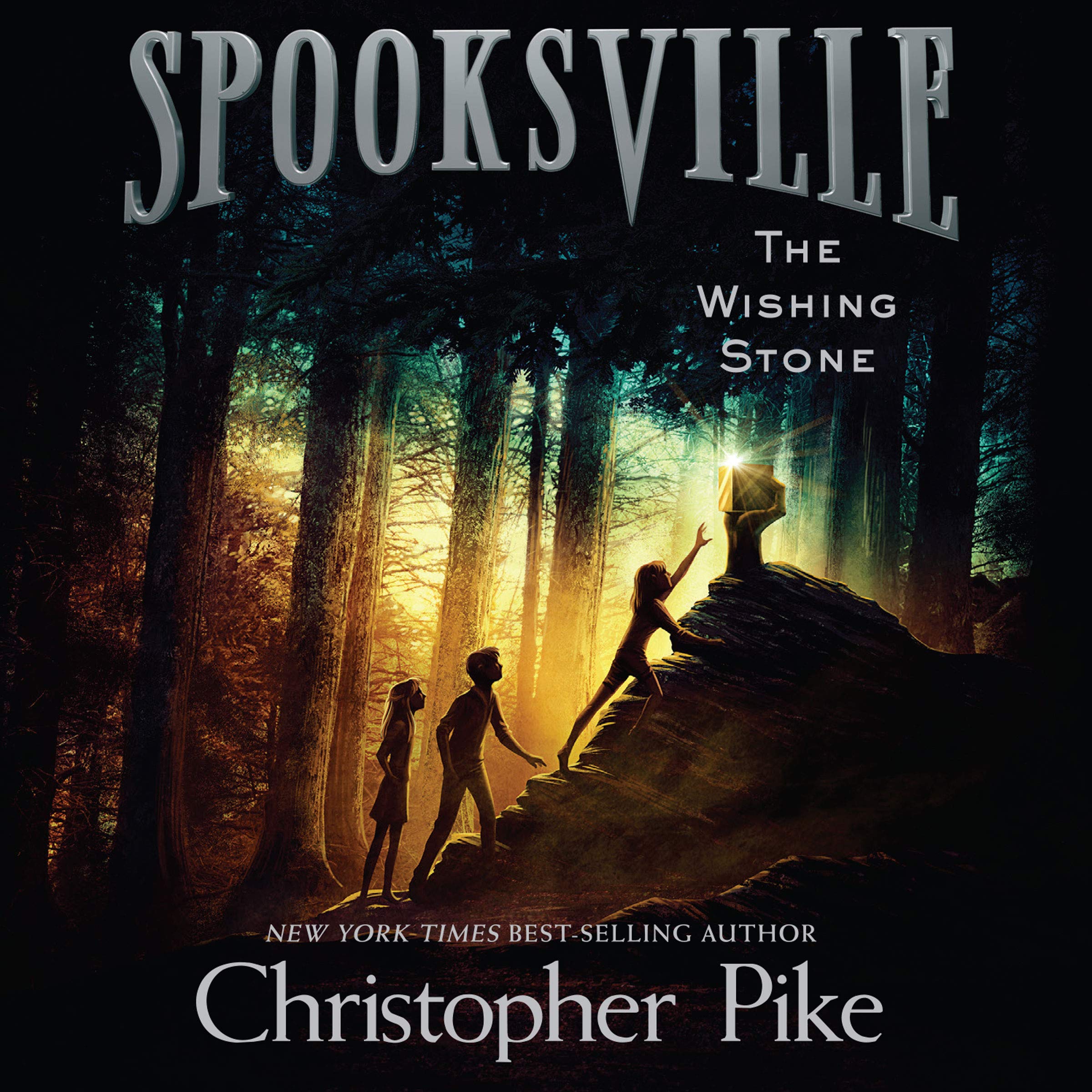 Cover art for The Wishing Stone
