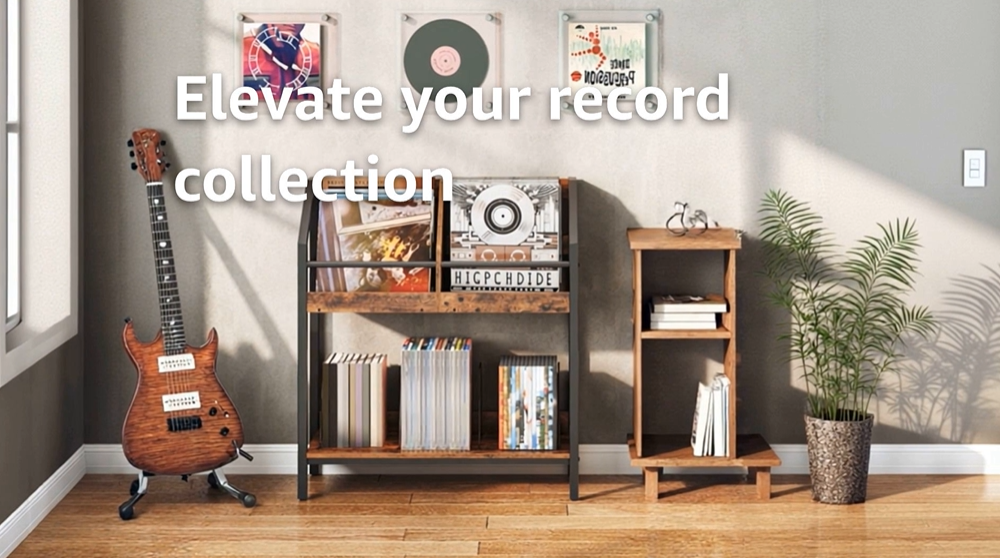 Amazon.com: CHOEZON 2-Tier Vinyl Record Storage Holder Rack, 250
