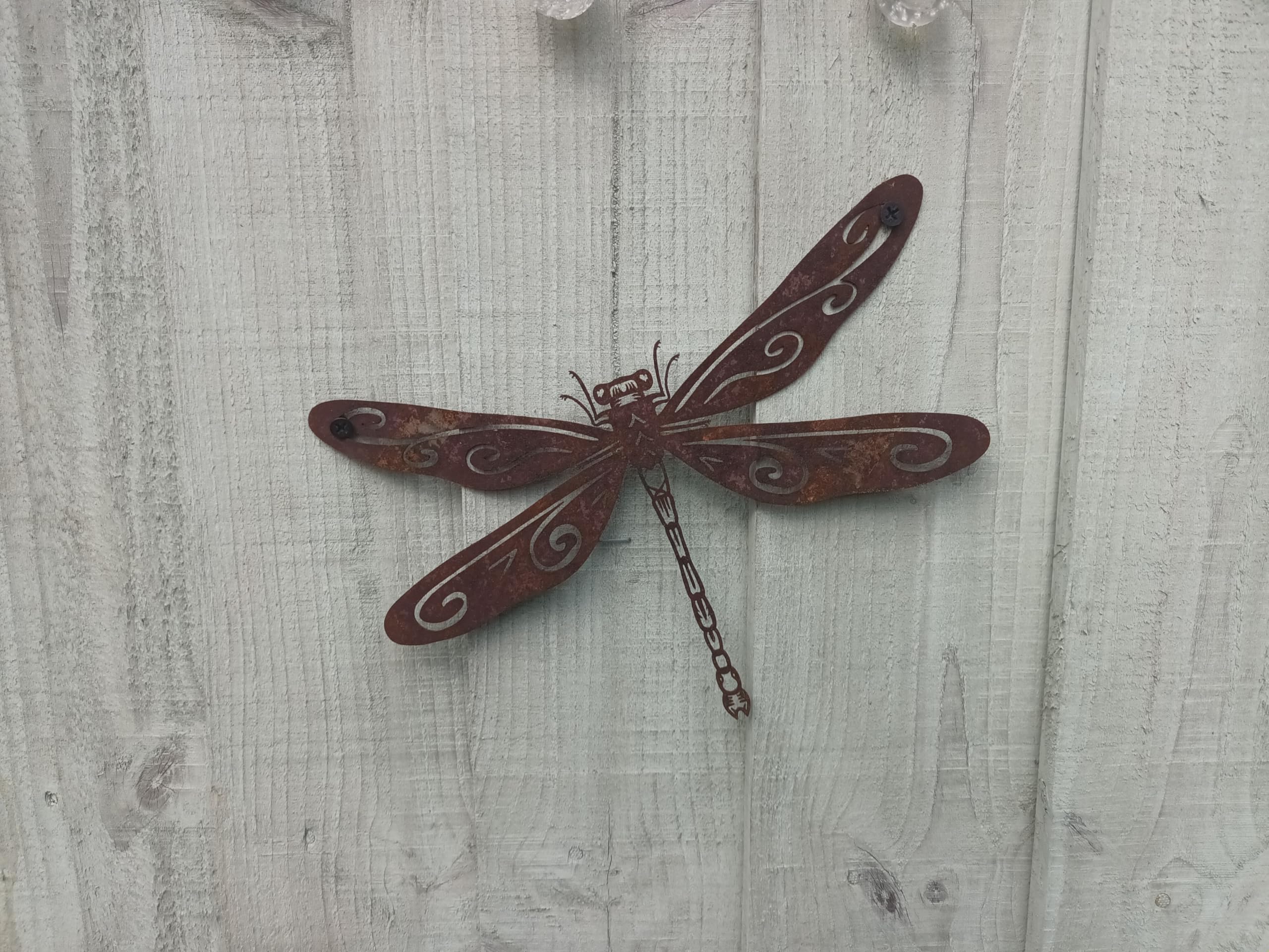 Paranoid Fish Brown Rustic Dragonfly Fence | Garden Ornament, Rusty Animal Art