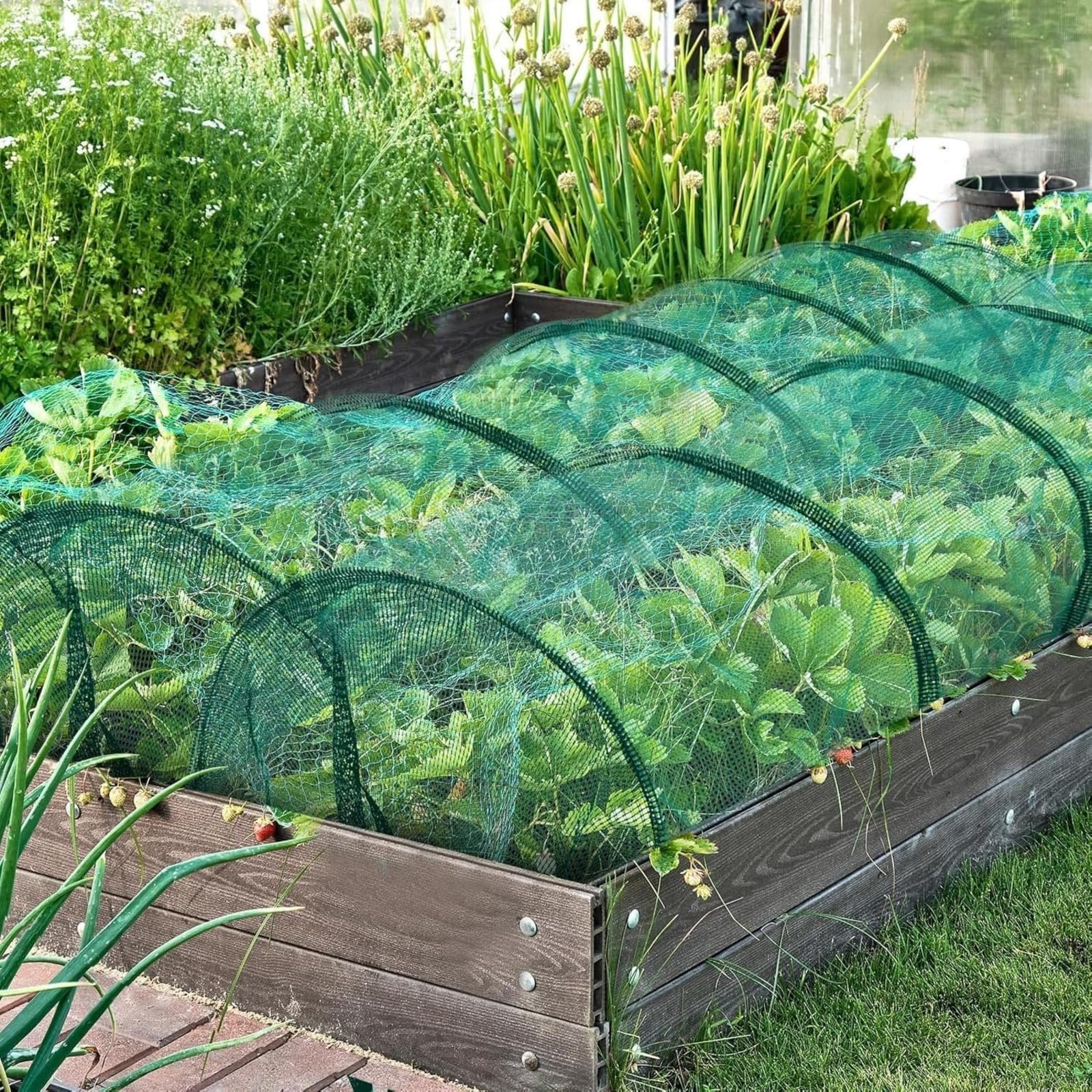 Générique Tunnel de Jardin en Maille, Tunnel de Plantation agricole, 300 x 45 x 45 cm, Résistant au Gel, Protection Contre Les intempéries pour Jardin Potager Protection Contre Le Gel Serre