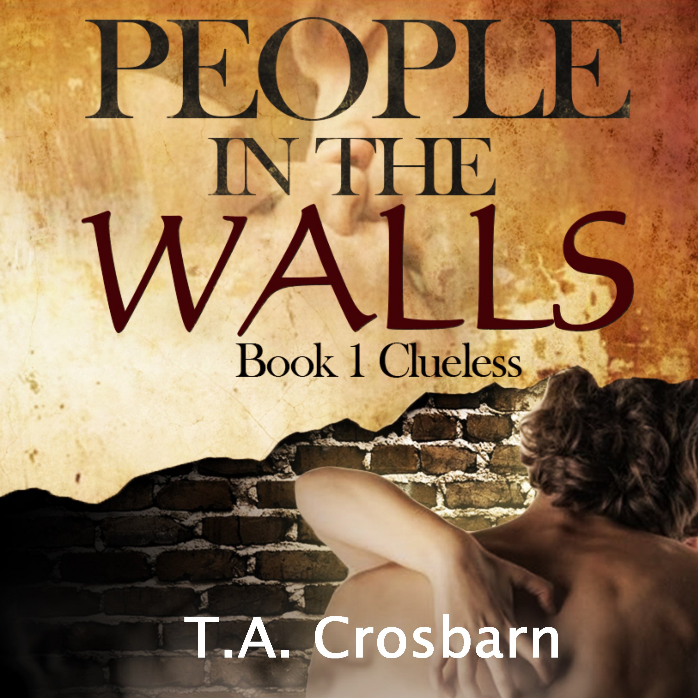 Cover art for People in the Walls: Clueless, Book 1
