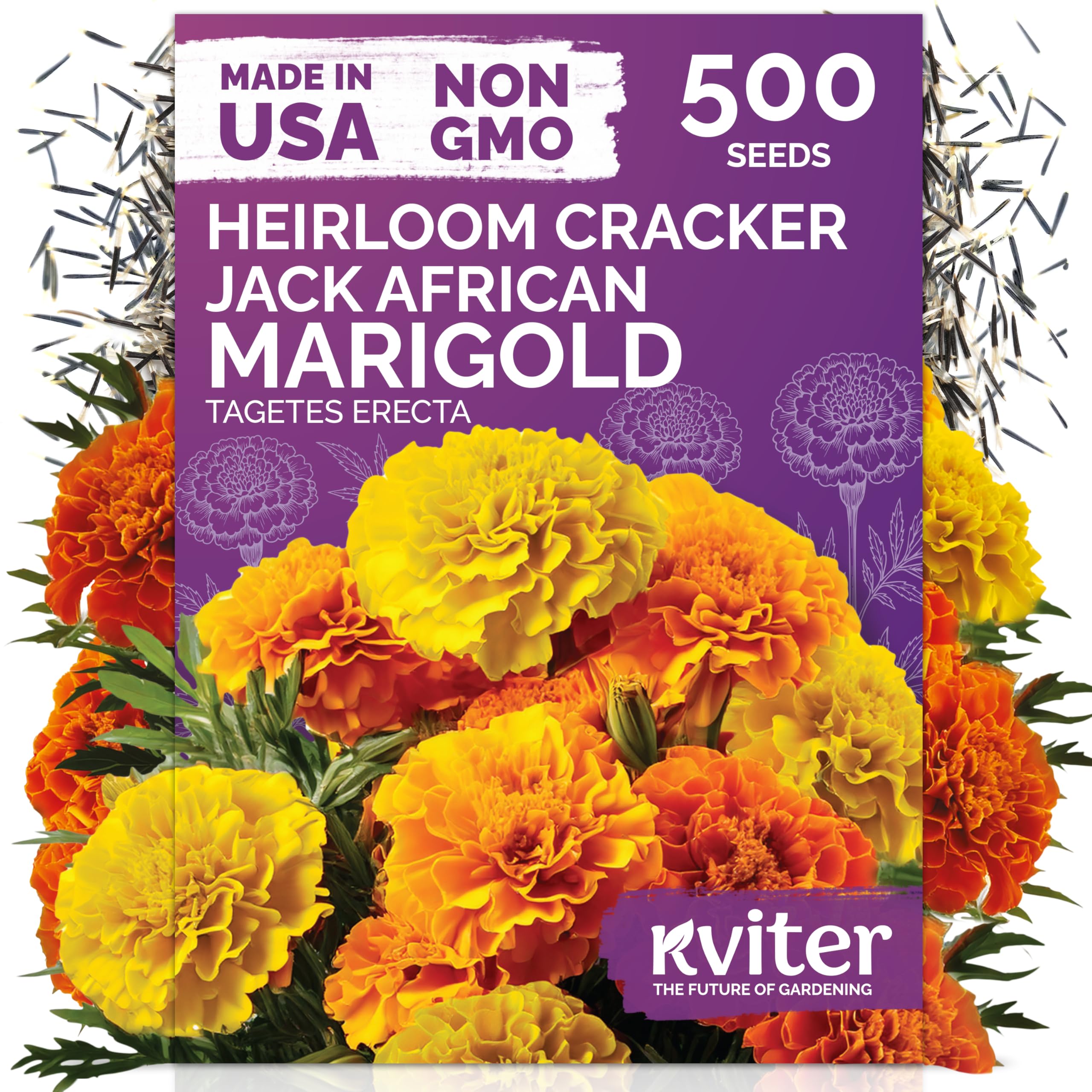 500 Cracker Jack Marigold Heirloom Flower Seeds, Tagetes Erecta