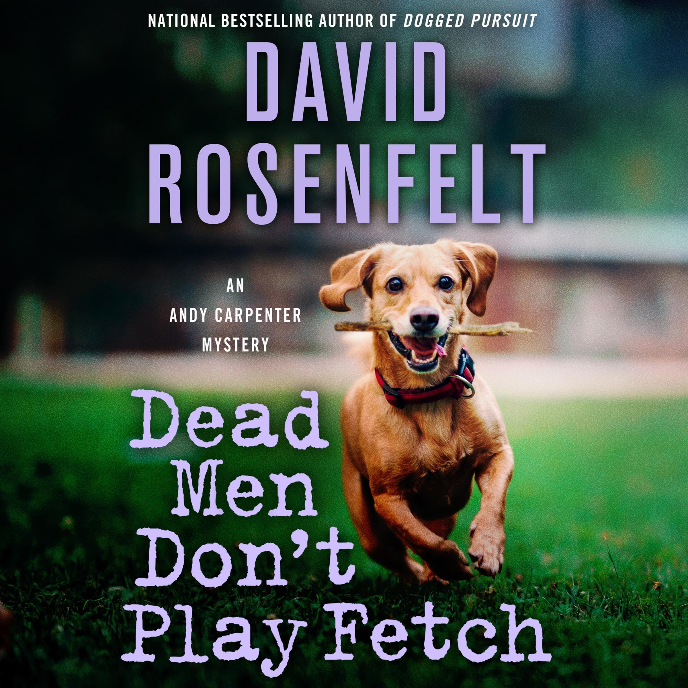 Cover art for Dead Men Don't Play Fetch