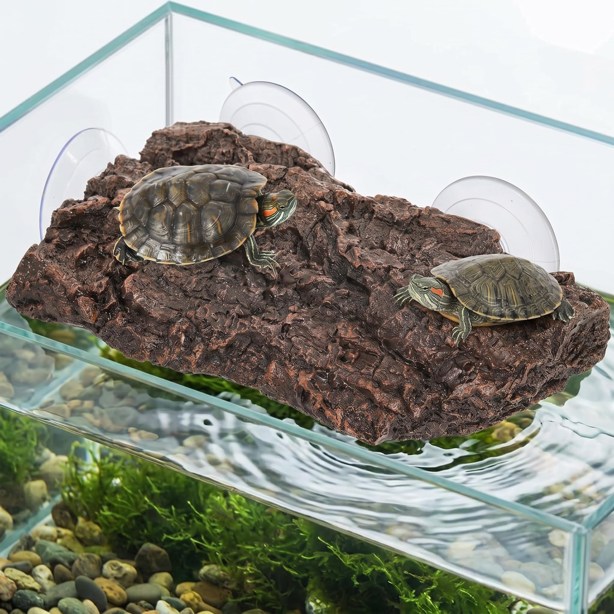 Turtle Basking Platform, Tortoise Resting Terrace with 3 Suction Cups