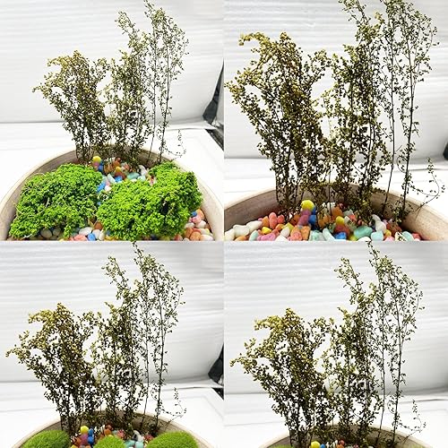 Miniatura 3 de Cayway Arbustos en miniatura Modelo Arbustos largos Grupos de vegetación Grupos de hierba estática para bricolaje Modelo Tren Paisaje Ferrocarril