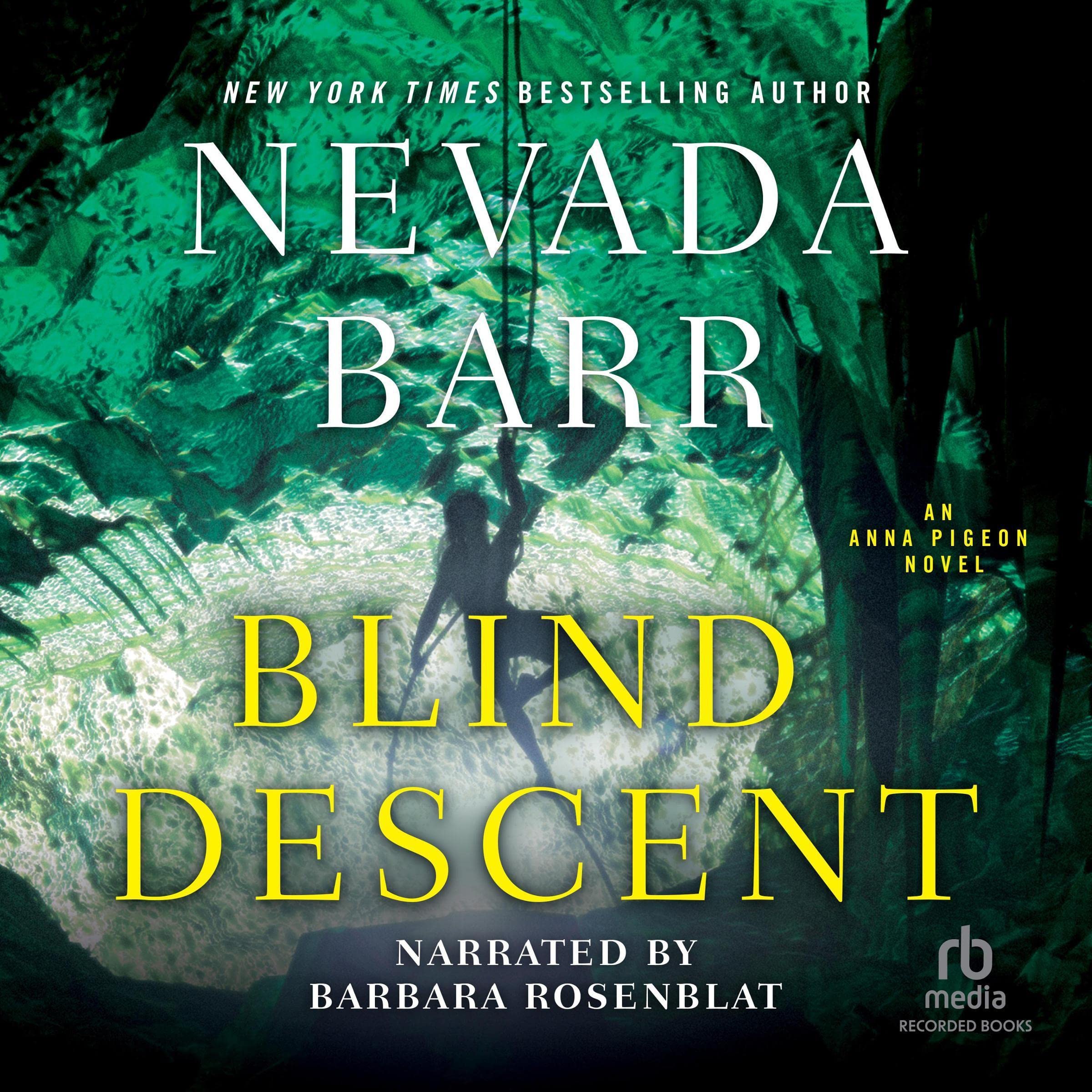 Cover art for Blind Descent
