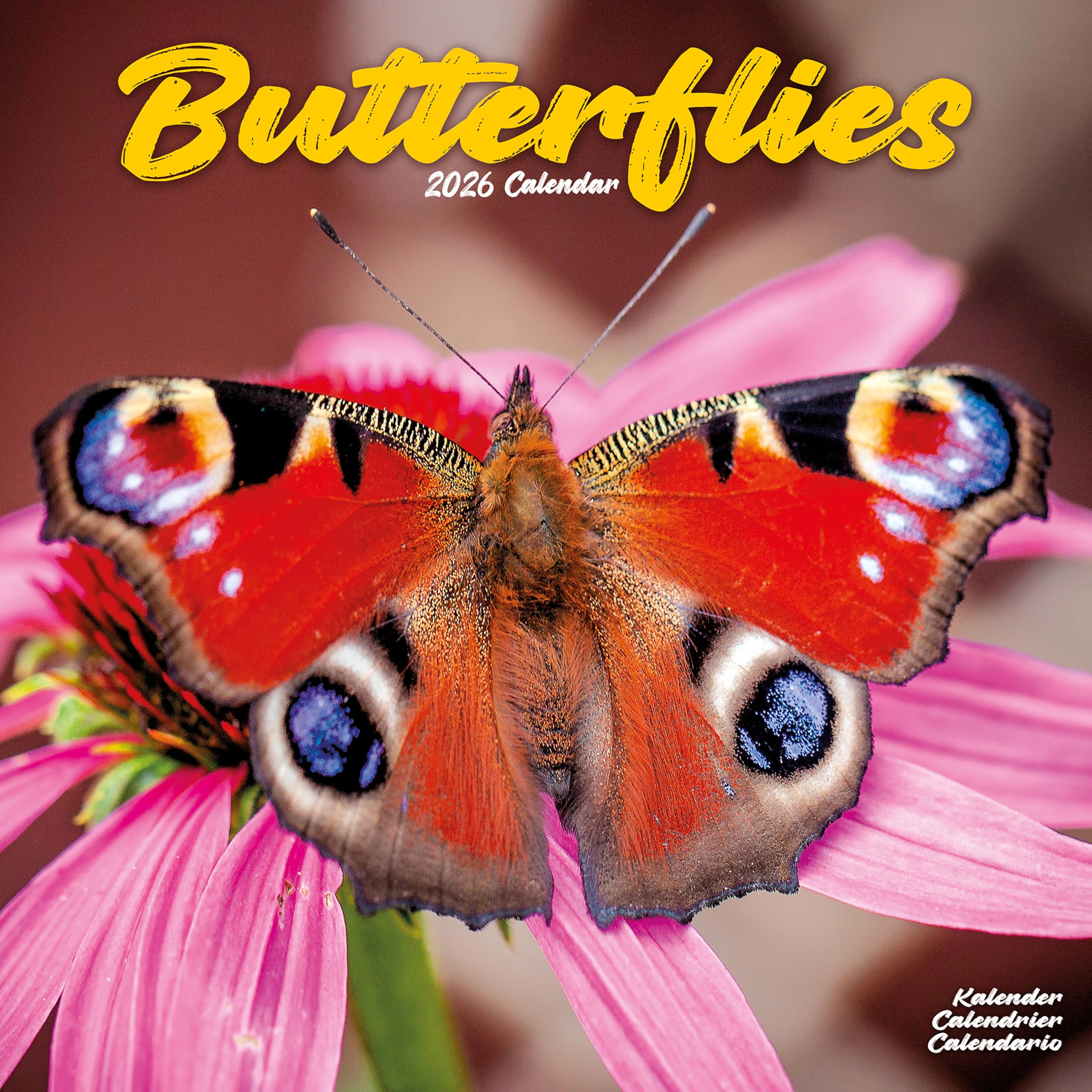 Butterflies Calendar 2026, Wall Calendars, Month To View, Animals, Gift