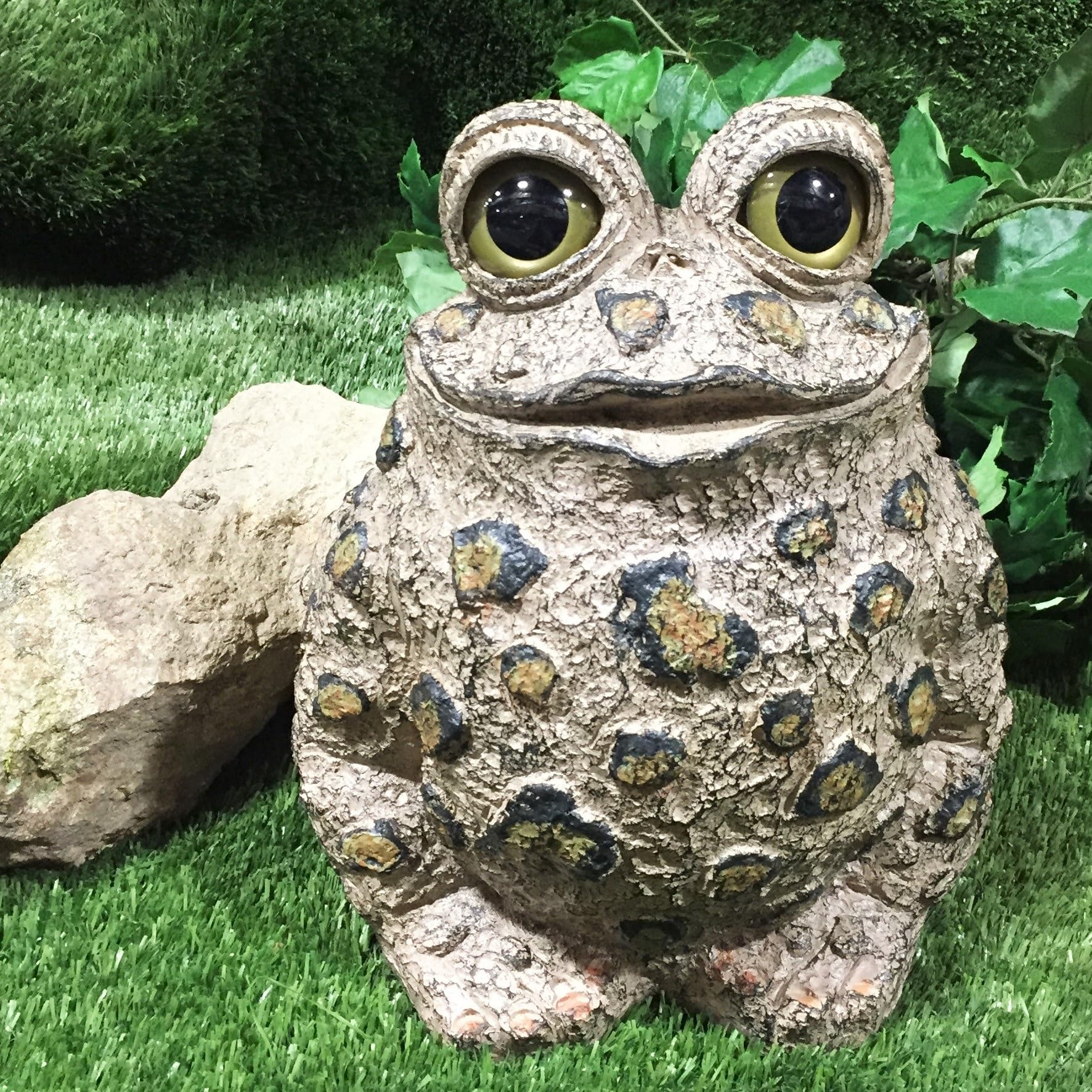 Amazon.com : SUNGUARD Whimsical Toad Hollow Tall Stretch MLXL