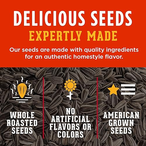 Miniatura 6 de DAVID Semillas de girasol gigantes, tostadas, picante, saladas, queso, amigable con dietas ceto, 5.25 onzas, 12 unidades