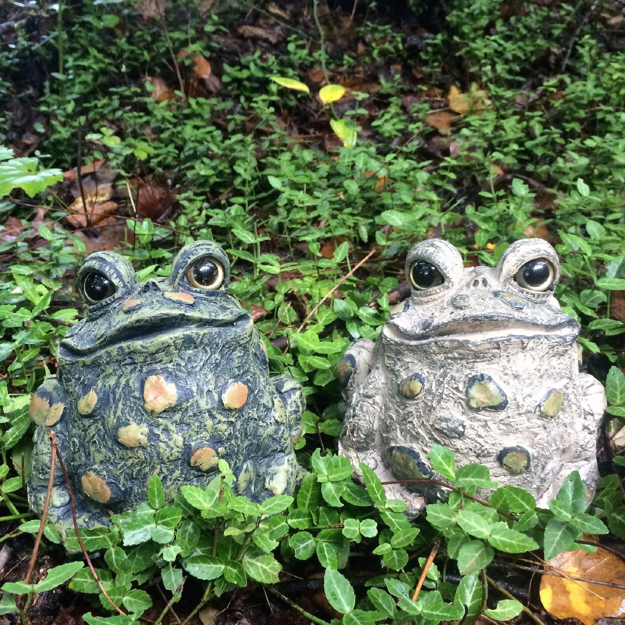 Amazon.com : SUNGUARD Whimsical Toad Hollow Tall Stretch Medium