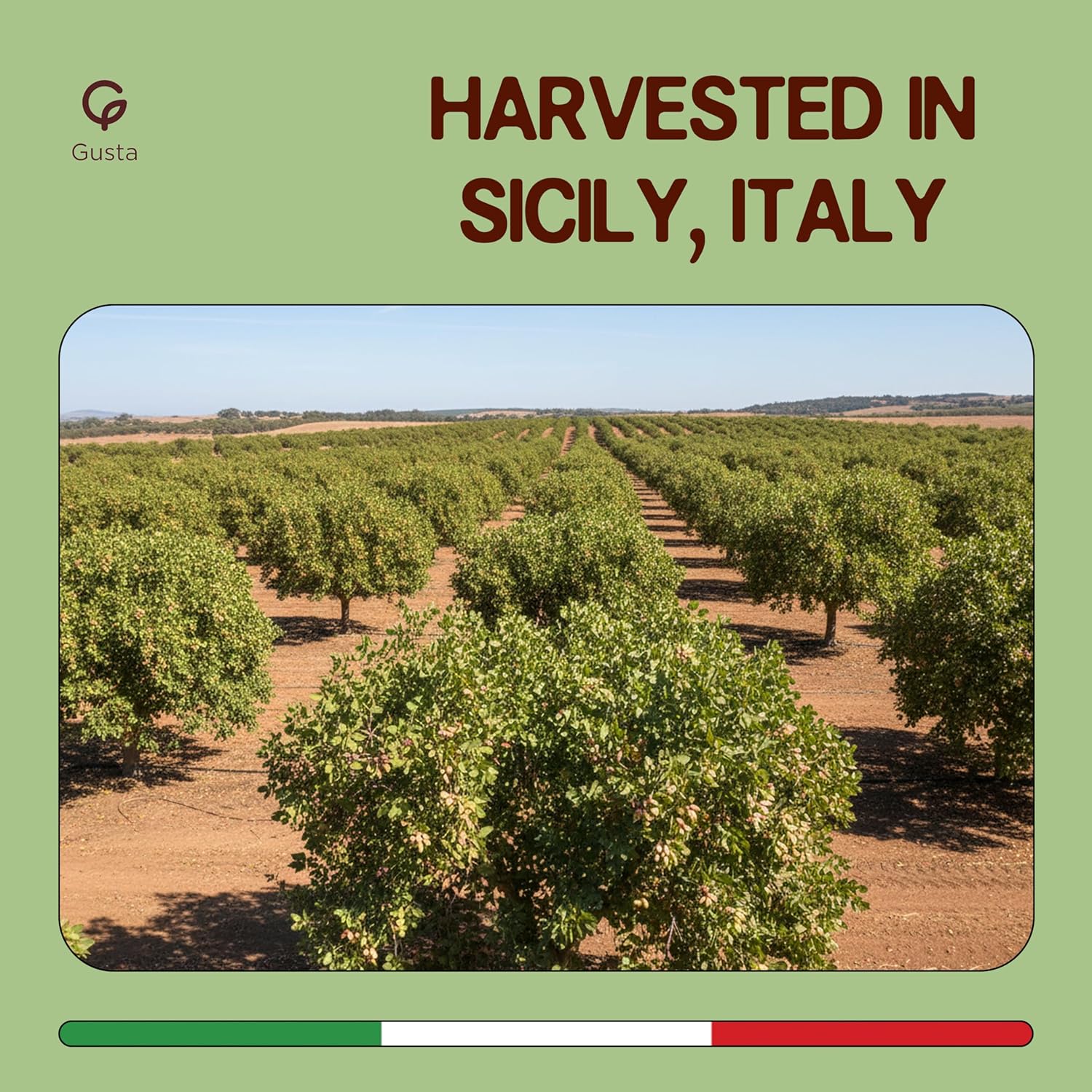 Pistachio Cream Spread from Sicily - Premium Filling for Dubai Chocolate, Baking, Desserts & Coffee - 100% Vegan & Lactose-Free Italian Gourmet Nut Pistachio Butter - 6.7oz