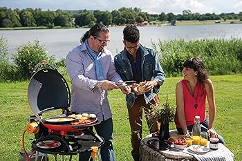 Napoleon TQ2225PO Portable Gas Grill - Powerful Outdoor Cooking