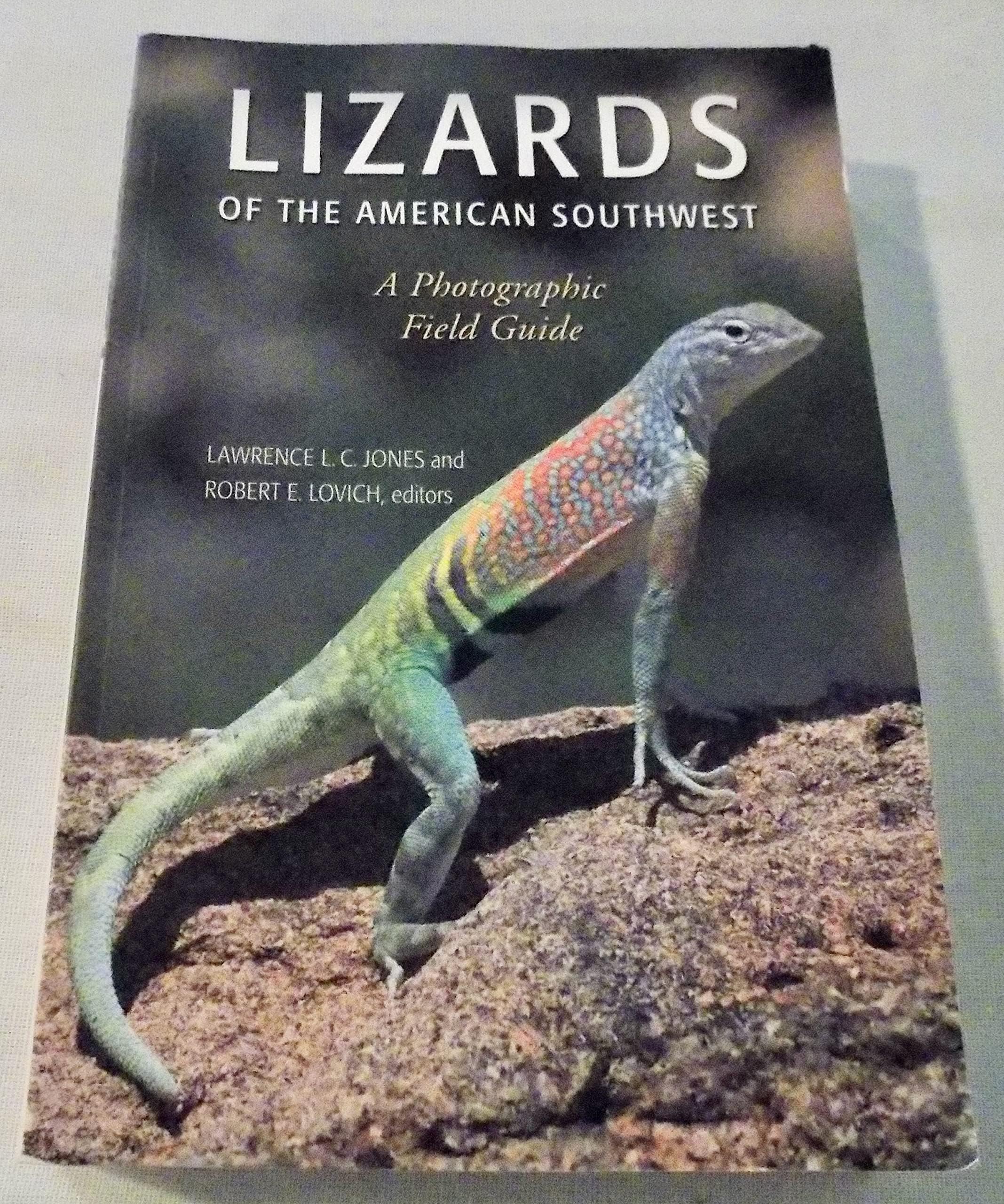 Lizards of the American Southwest: A Photographic Field Guide Paperback โ September 8, 2009