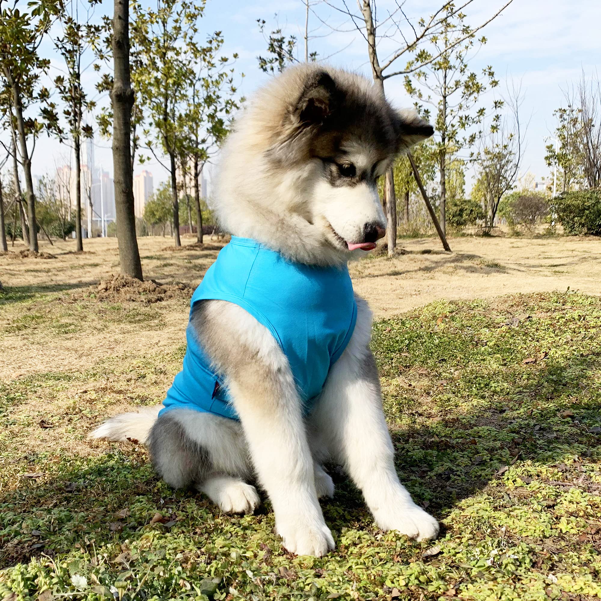 Hunde-Kapuzenpullover Mit Büffelkaromuster – Weicher Fleece, Mit Tasche, Größe L