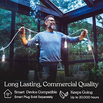 Brightech Ambience Pro Waterproof LED Outdoor String Lights, 48 Ft, Hanging, Dimmable Vintage Edison Bulbs, 15 Bulbs, 2W