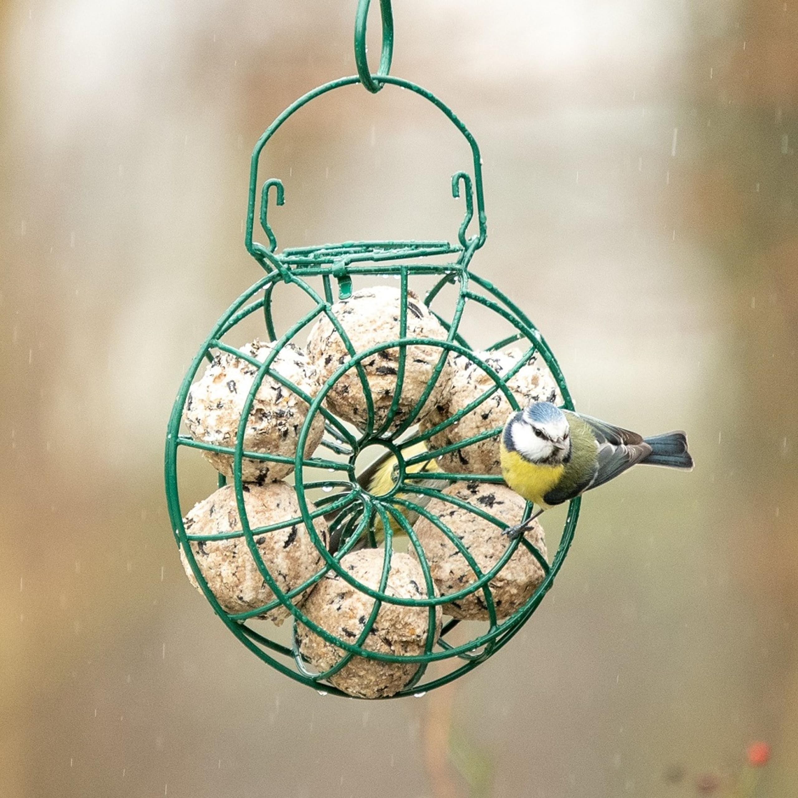 National Trust Fat Ball Feeder Hanging – Fatball Bird Feeder Fat Ball Holder – Metal Ring Holds 6 Fat Balls – Garden Bird Feeding