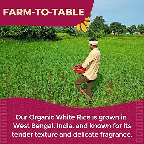 Miniatura 7 de LOTUS FOODS Arroz blanco orgánico de cocción rápida, 15 onzas